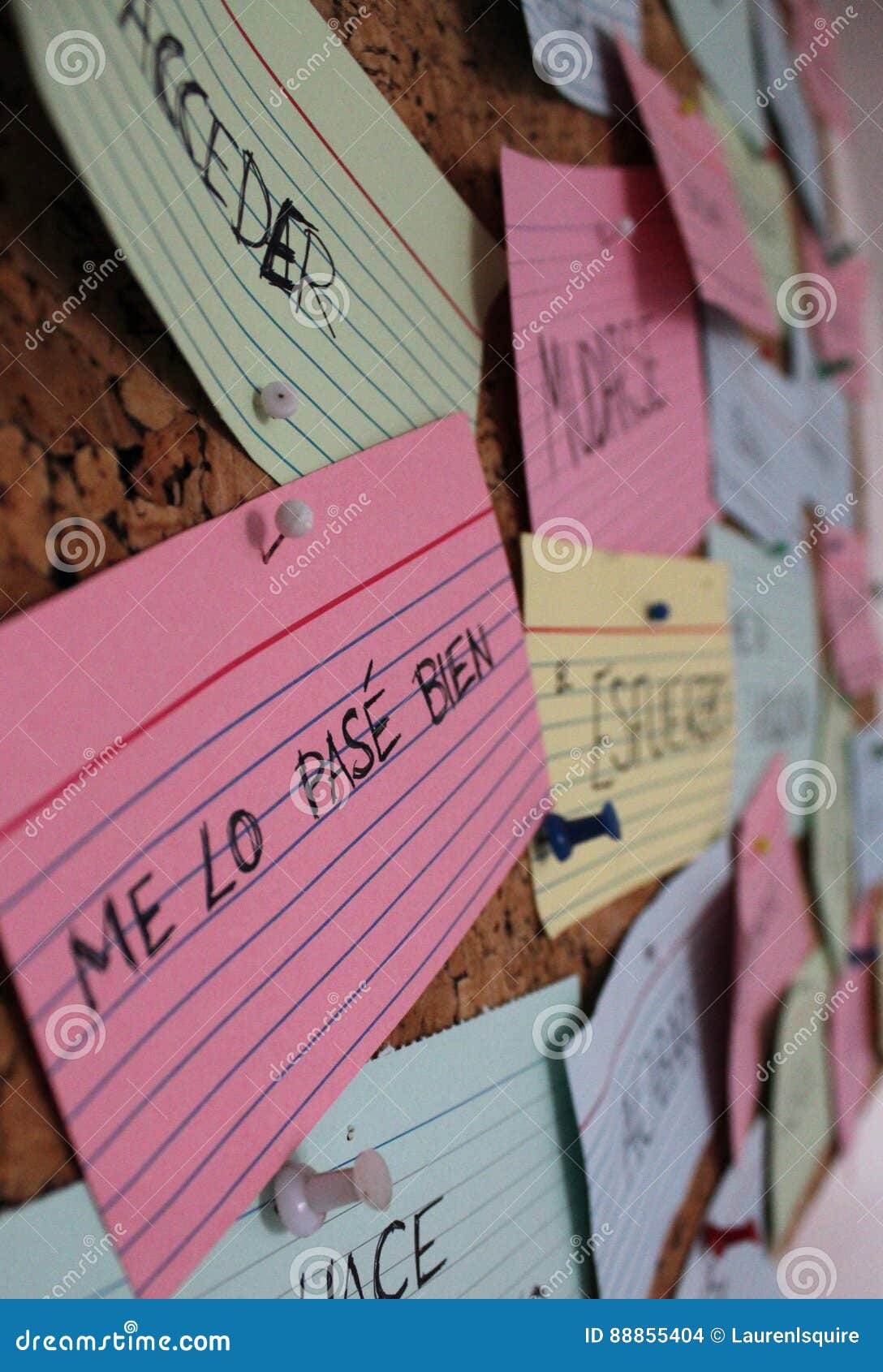 learning spanish with flash cards on a cork board