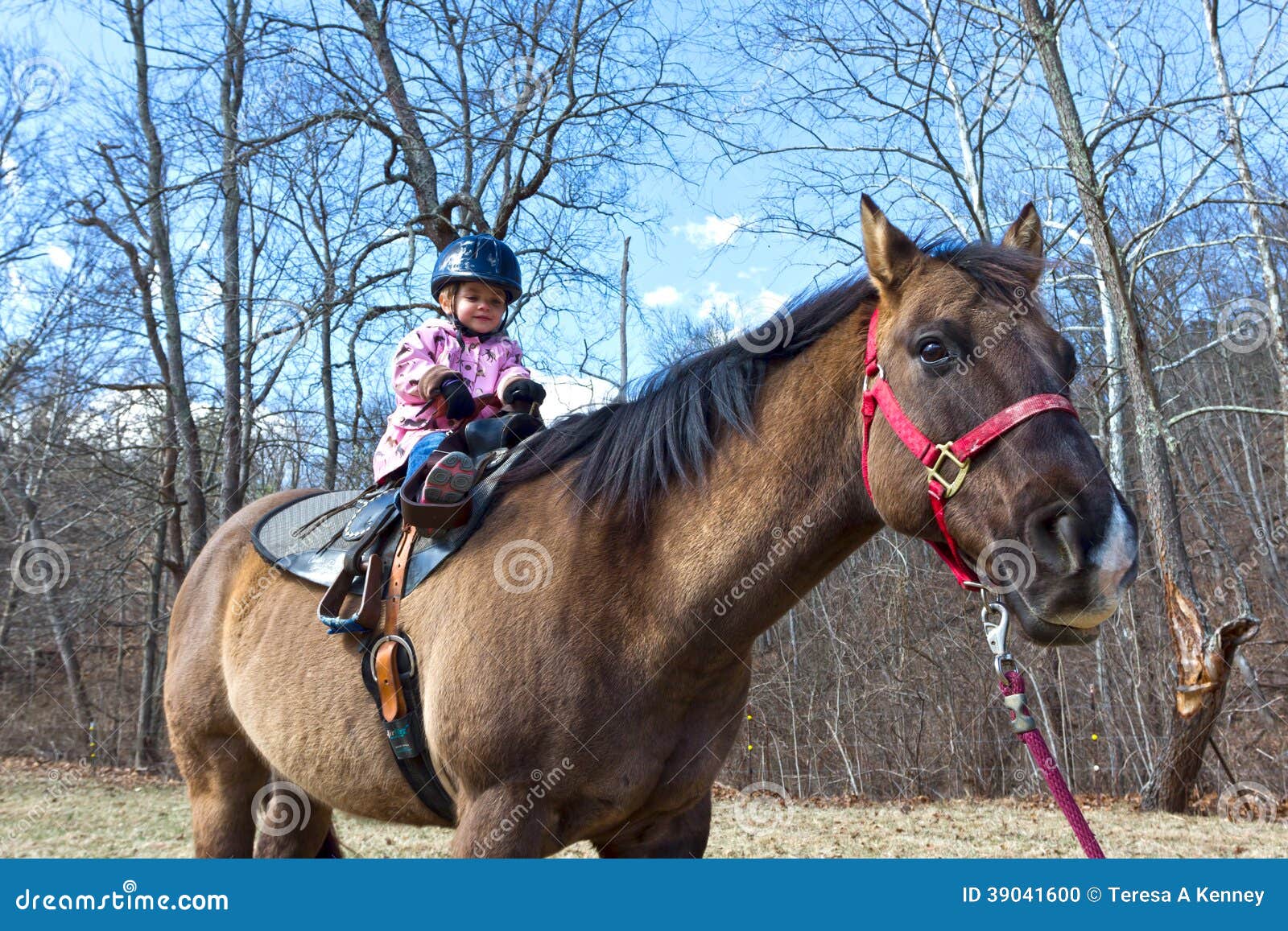 toddler ride on horse