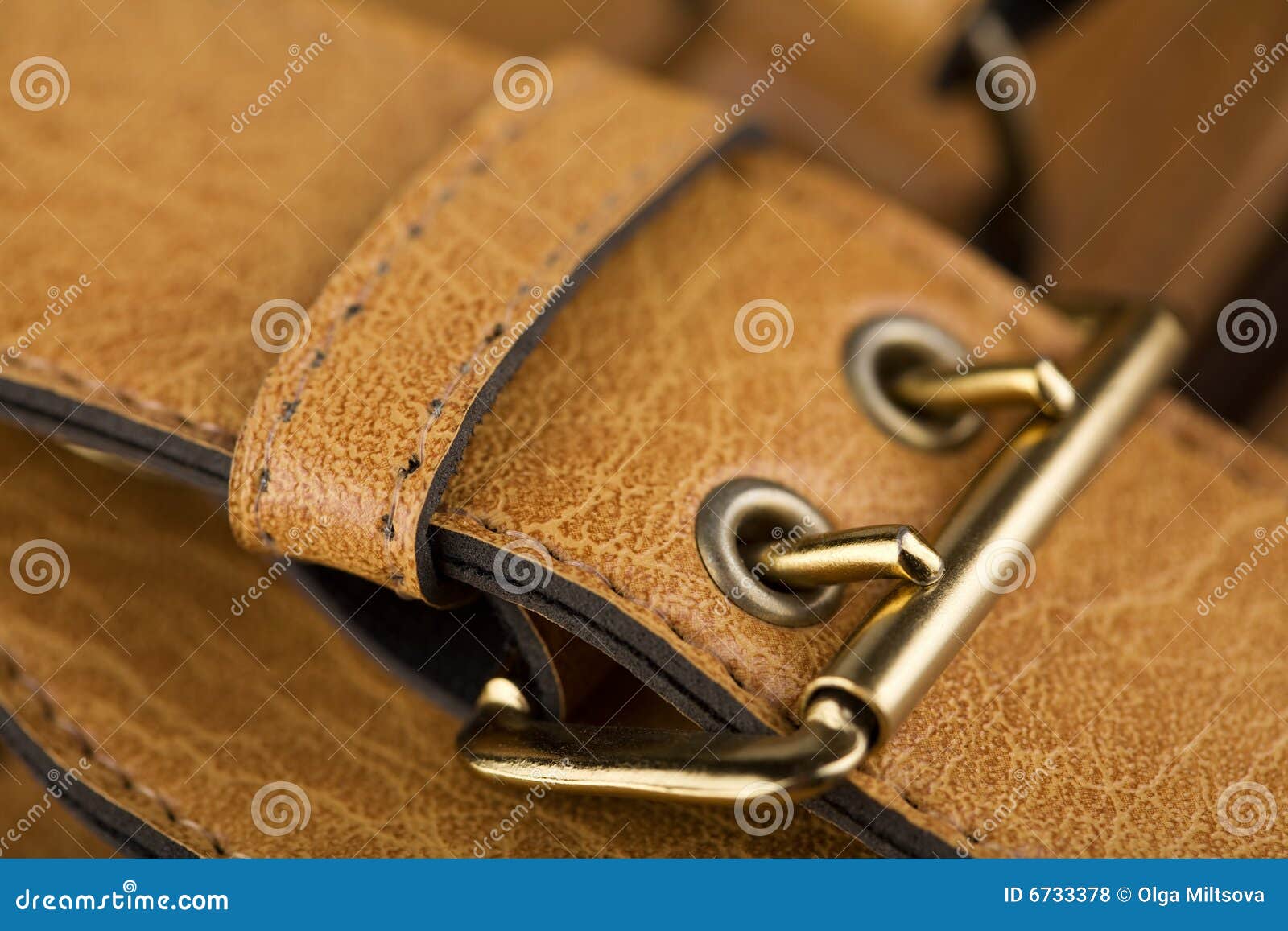 Leather bag accessories stock photo. Image of individuality 6733378