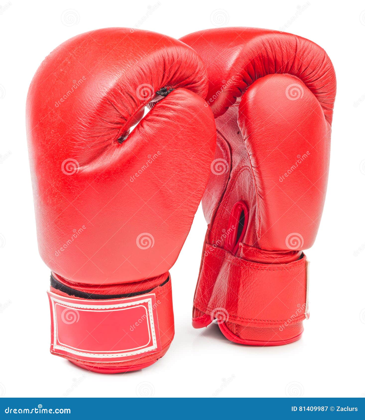 Leather Boxing Gloves Isolated Stock Image Image of protection