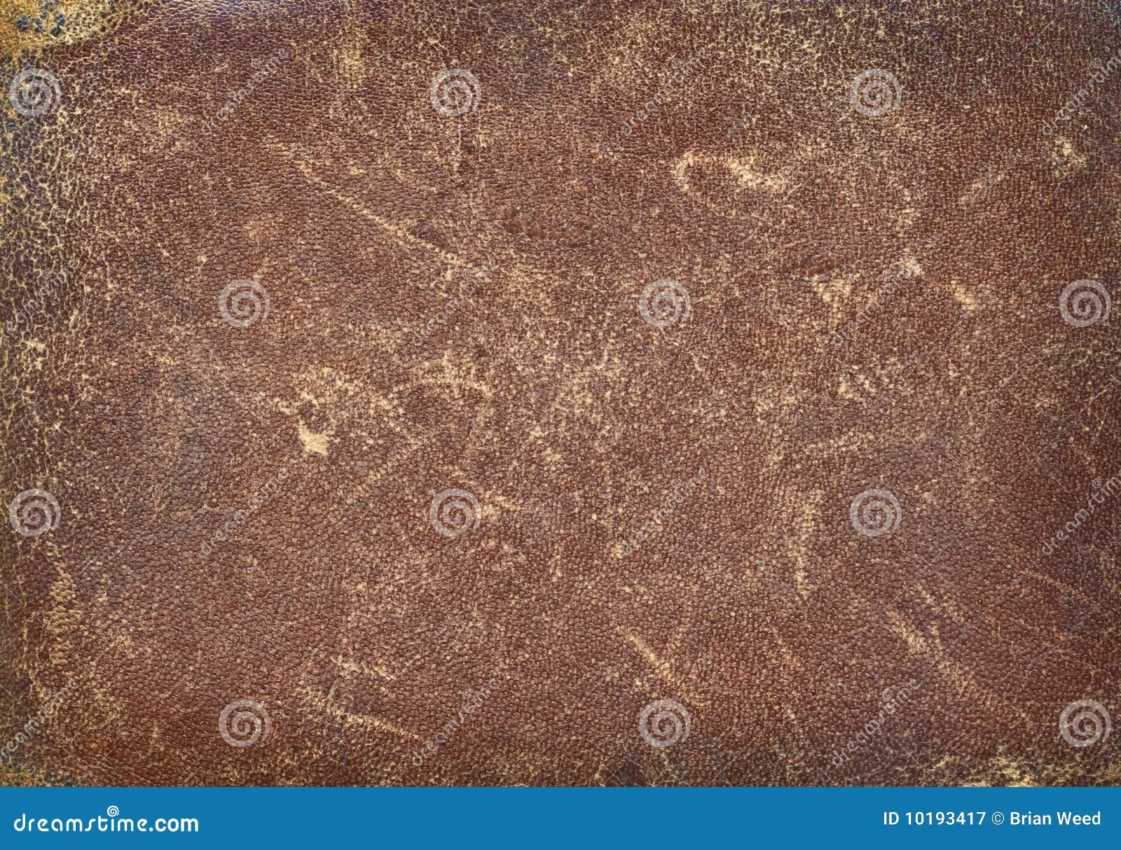 Leather Cowhide Texture Royalty Free Stock Photography Image 10193417