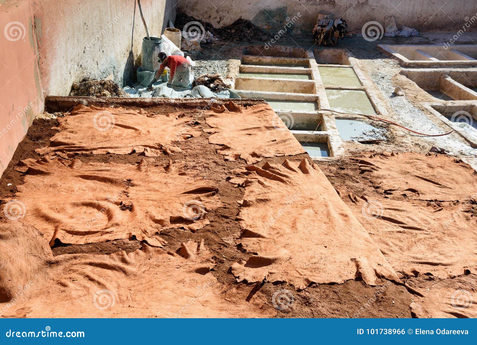 Leather Drying In Traditional Tannery. Marrakech. Morocco Editorial Photo Image of smell
