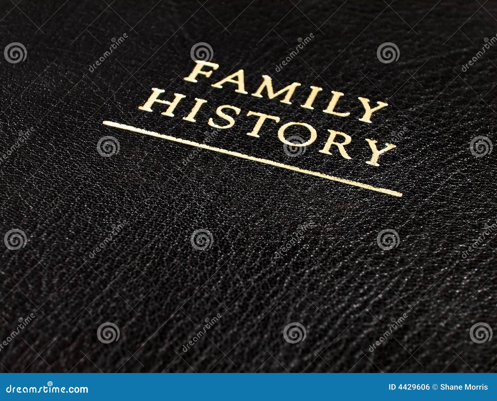 leather family history book