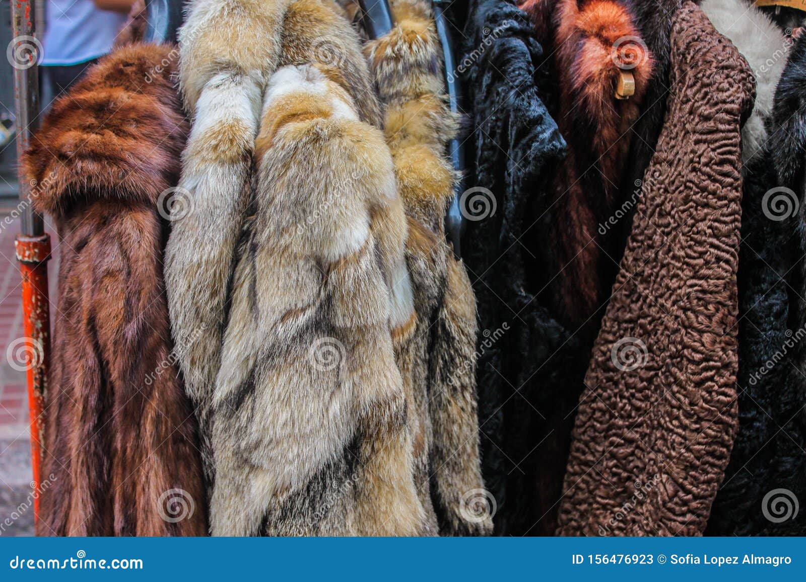 Leather Fur Coat Clothing Clothes Luxury Glamour Stock Image - Image of ...