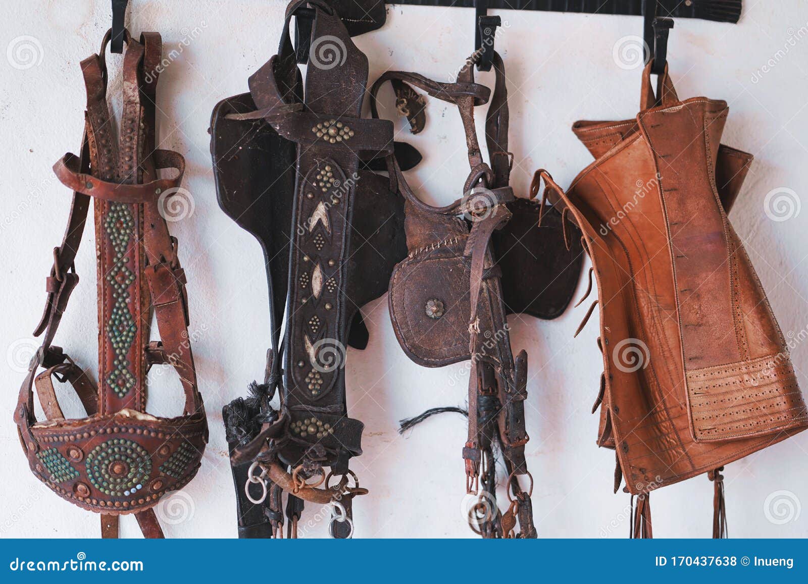 Leather Horse Bridles and Bits Hanging on Wall. Stock Photo Image of