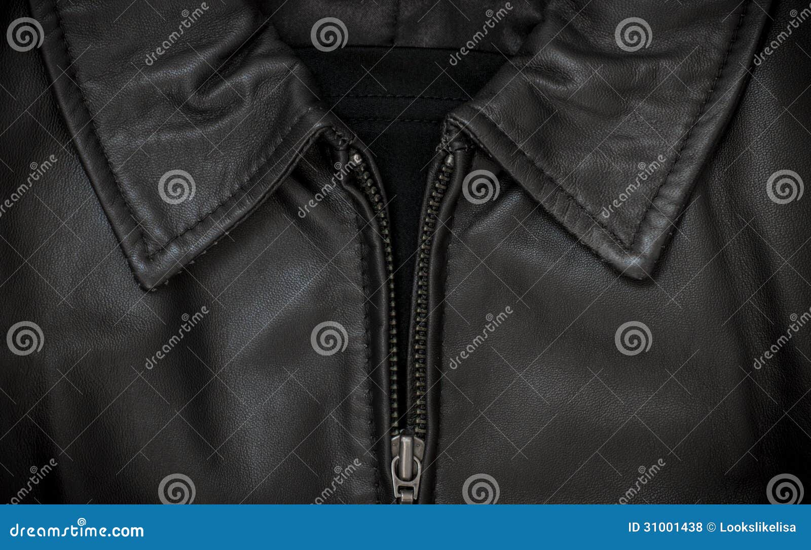 Leather Jacket Collar and Zip Stock Photo Image of tough, silver
