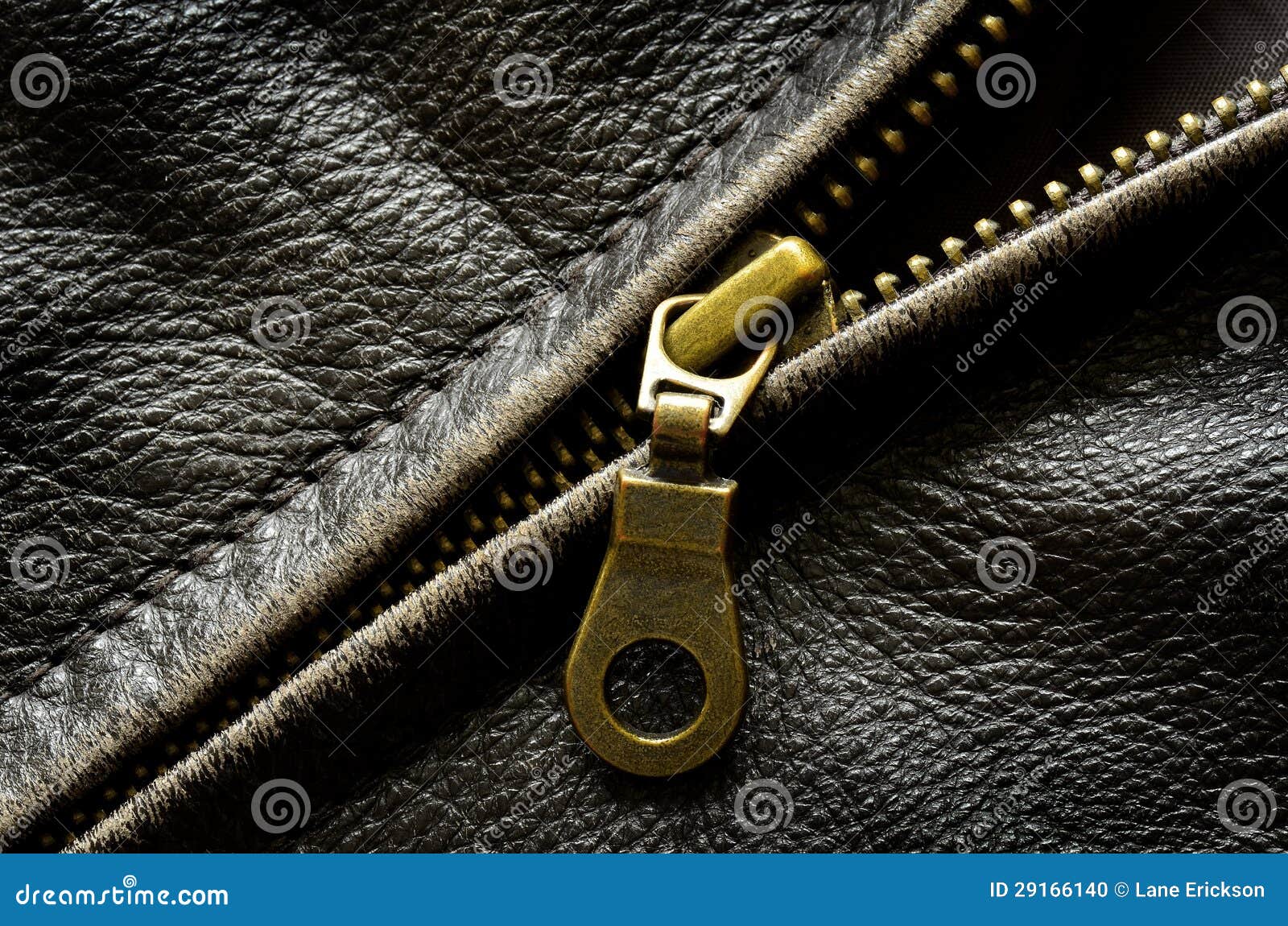 Leather Jacket Zipper stock photo. Image of fashion, close 29166140