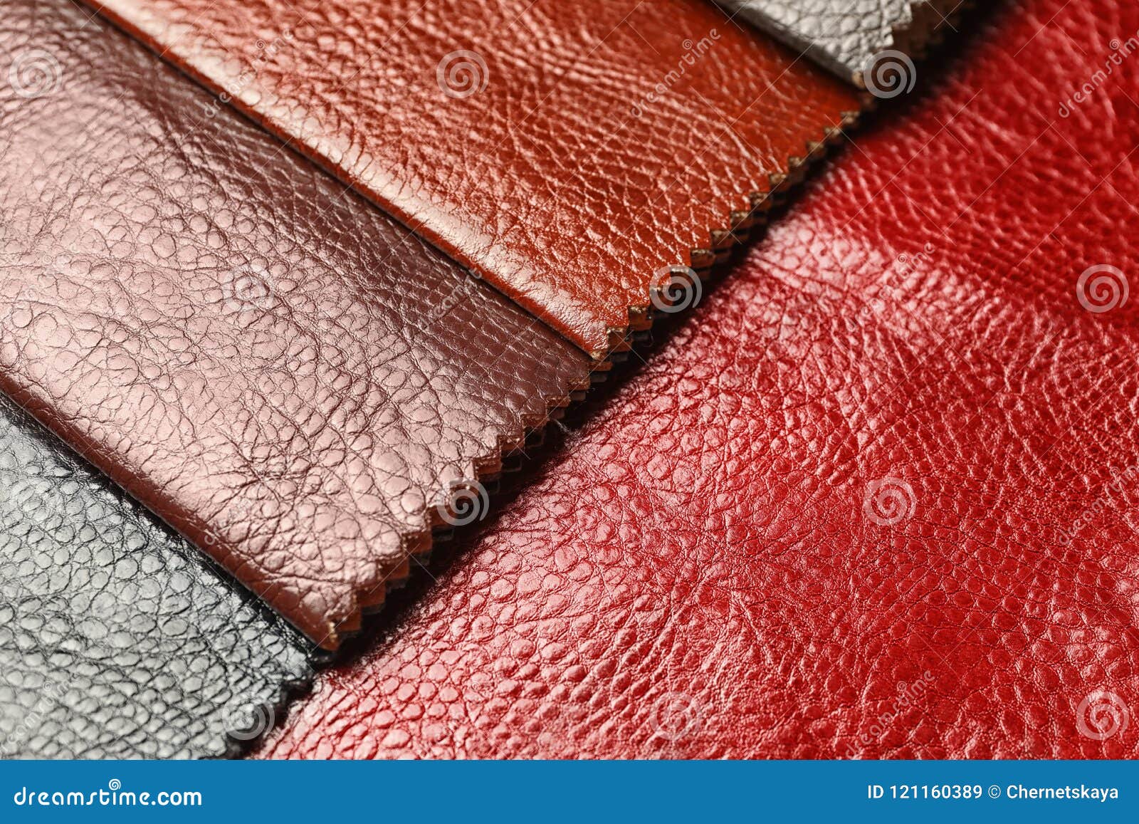 Leather Samples of Different Colors for Interior Design Stock Image Image of interior