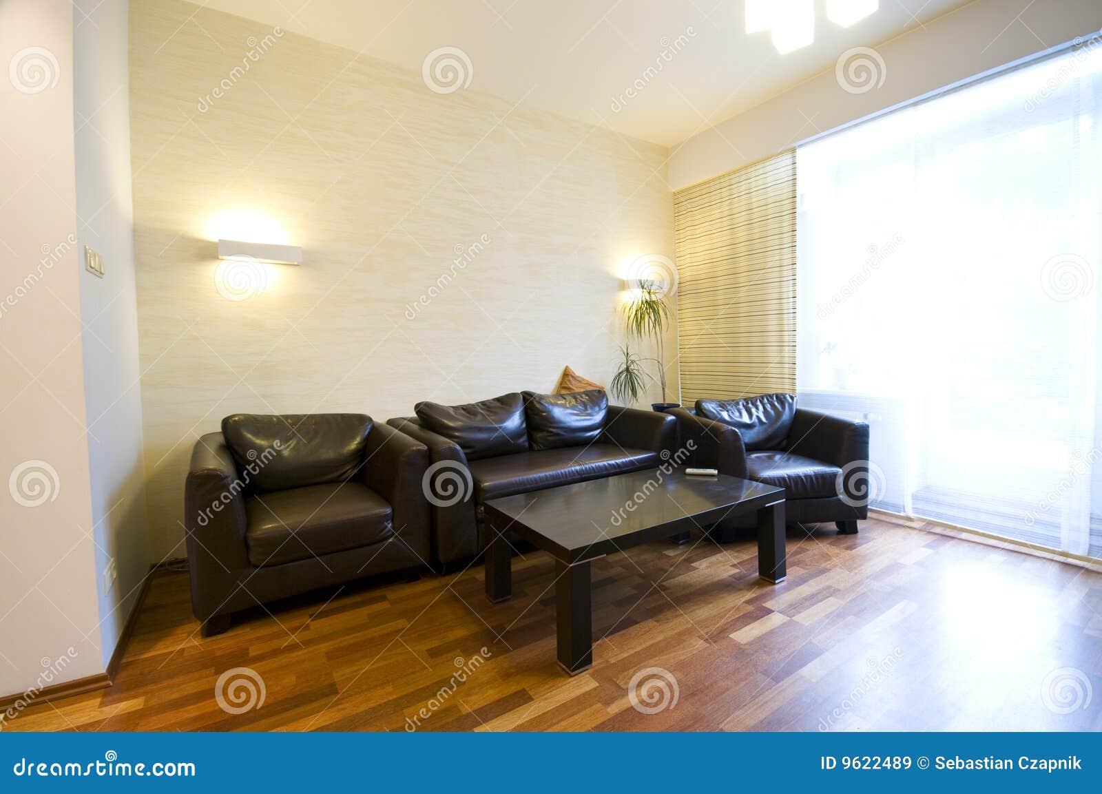 Leather sofas stock image. Image of brown, flooring, leather 9622489