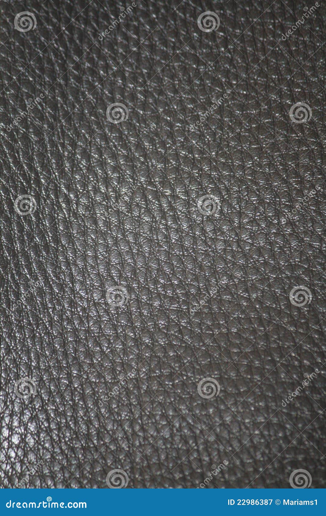 leather texture