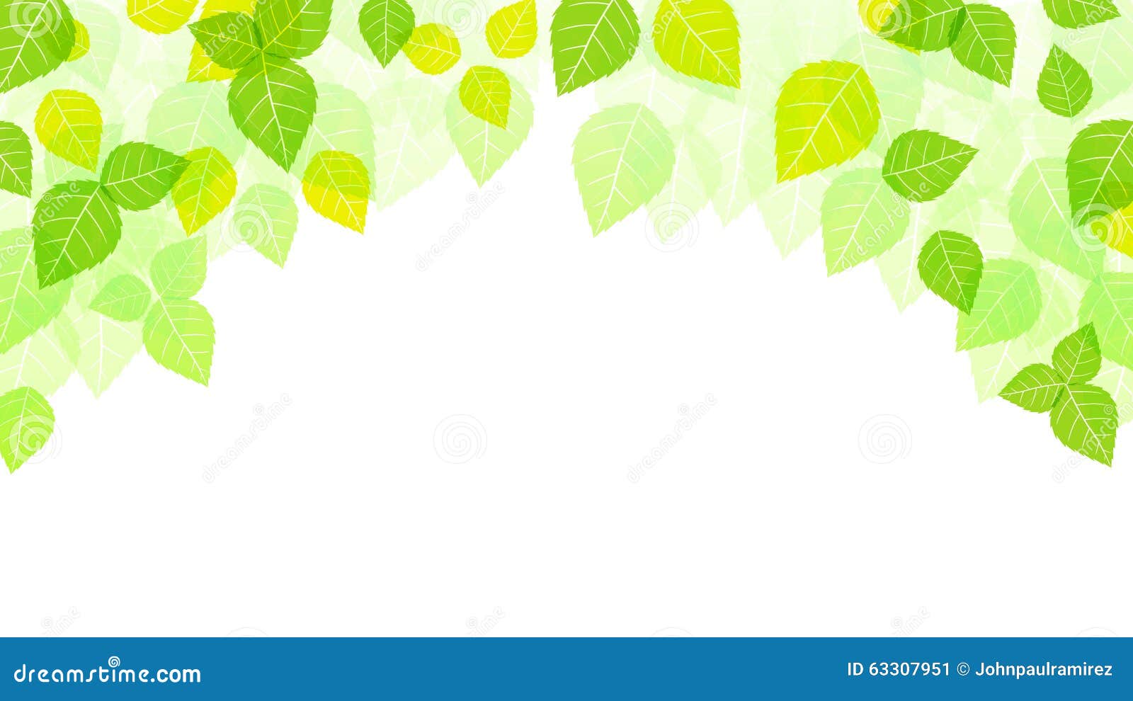 Leaves Background  Spring Background  Nature  Season Stock 