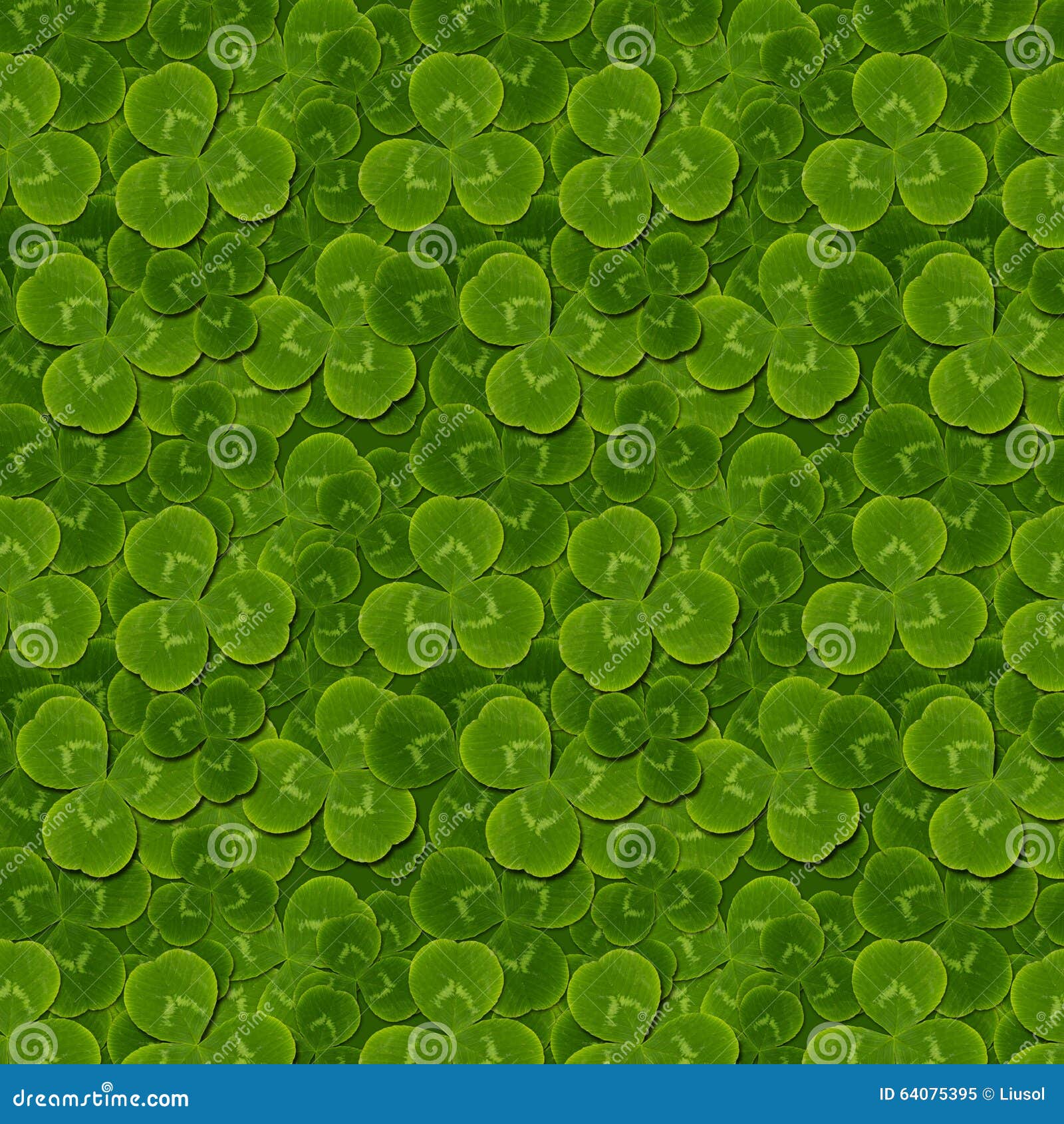 leaves clover trefoil shamrock pattern