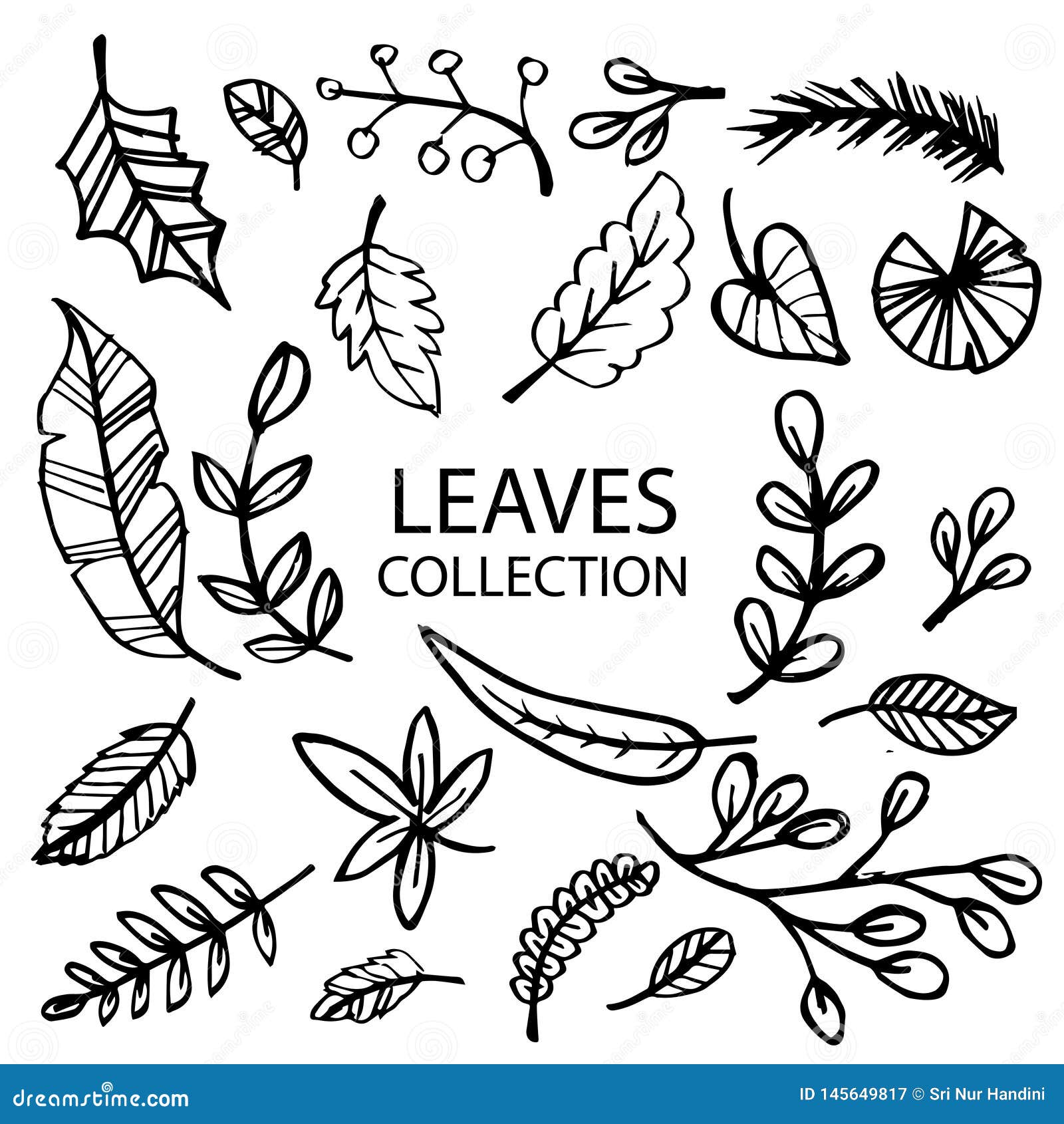 Leaves collection