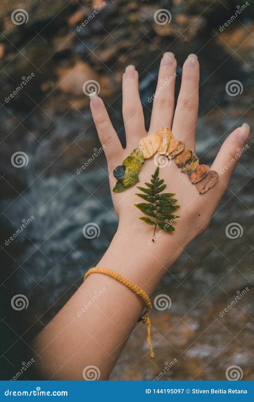 leaves of different colors on the hand