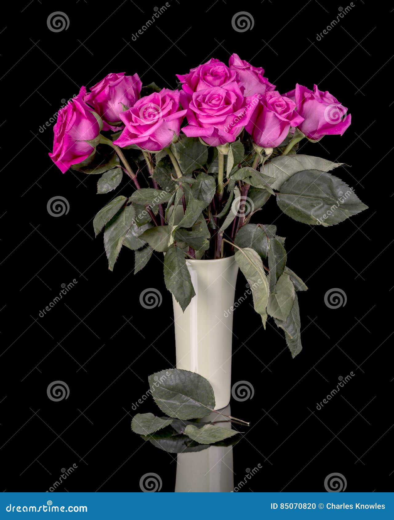 Leaves Falling Off of Old Roses in a Vase Stock Photo Image of