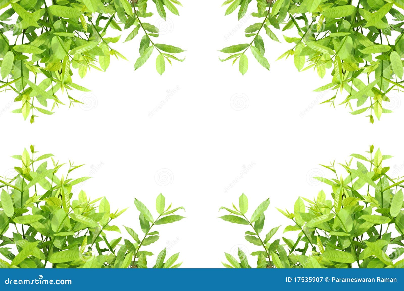 photography free template powerpoint download Stock  Free  Leaves Royalty 17535907 Image: Photography Frame