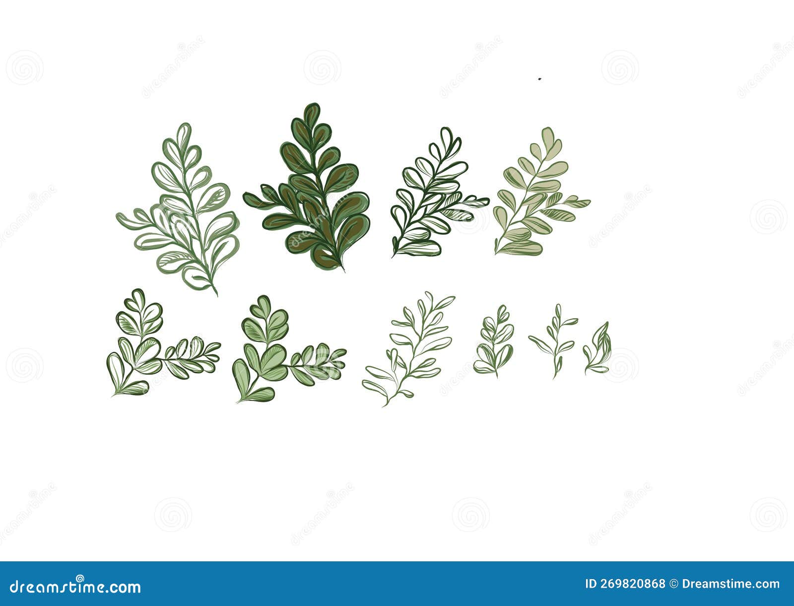Hand Drawn Leaves png images | PNGEgg