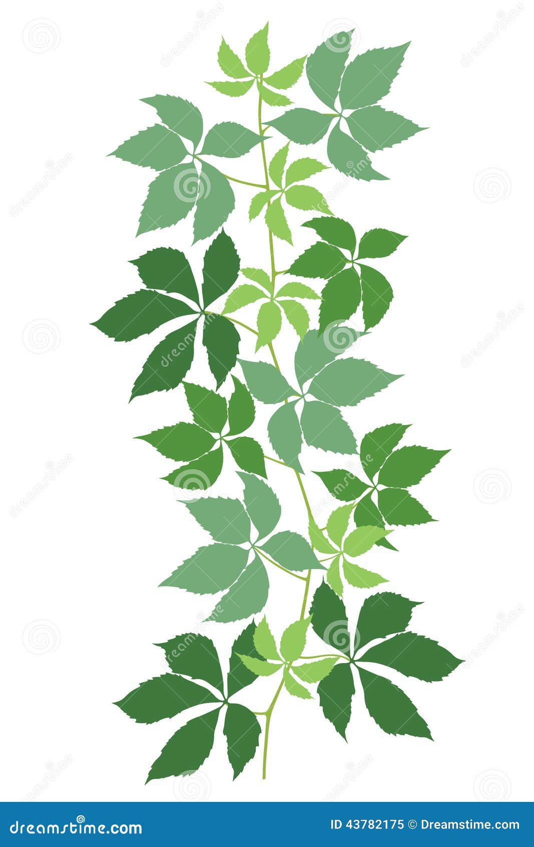 Leaves_one Stock Vector - Image: 43782175