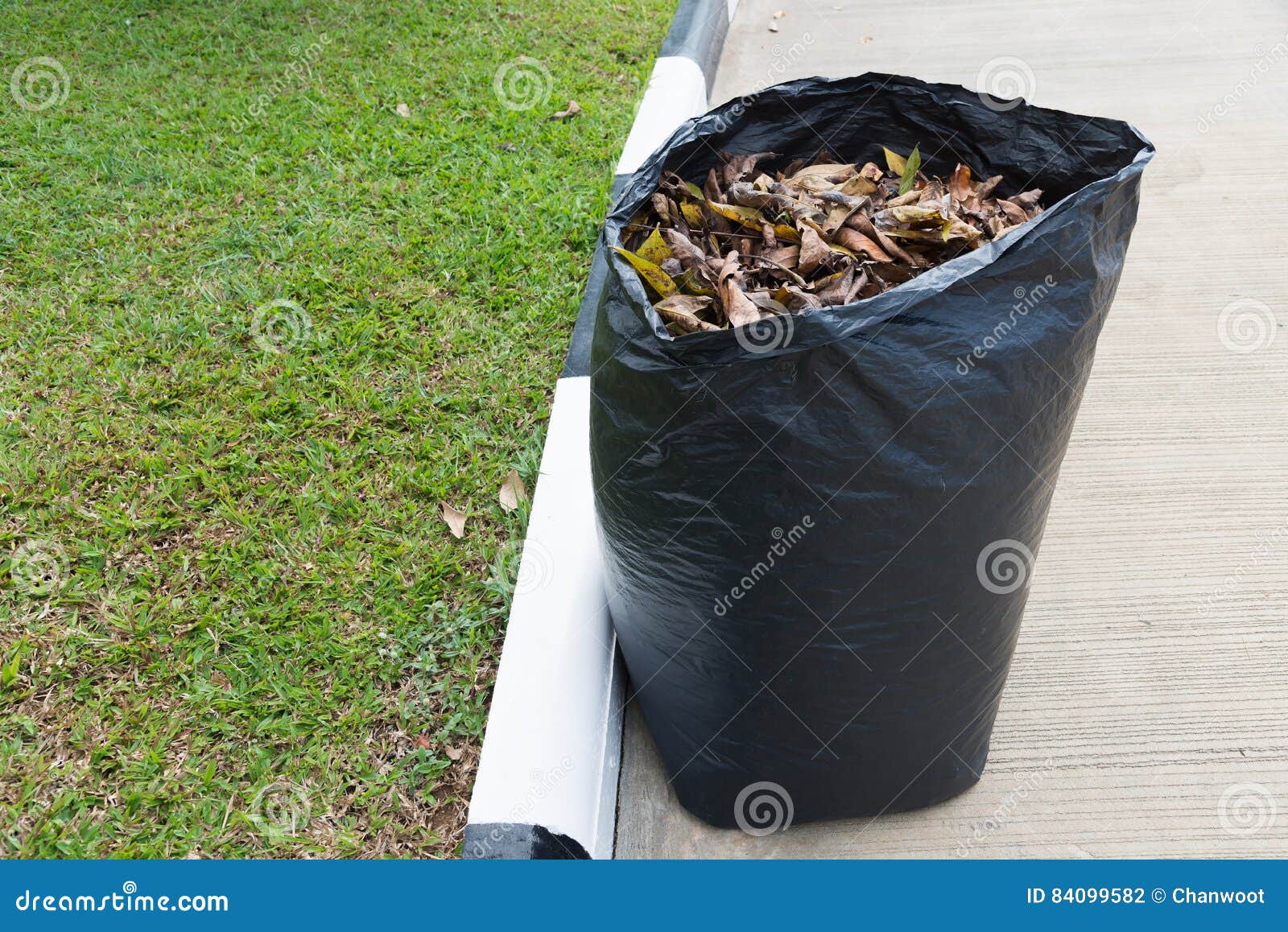 Leaves in recycle bag. stock photo. Image of pollution 84099582