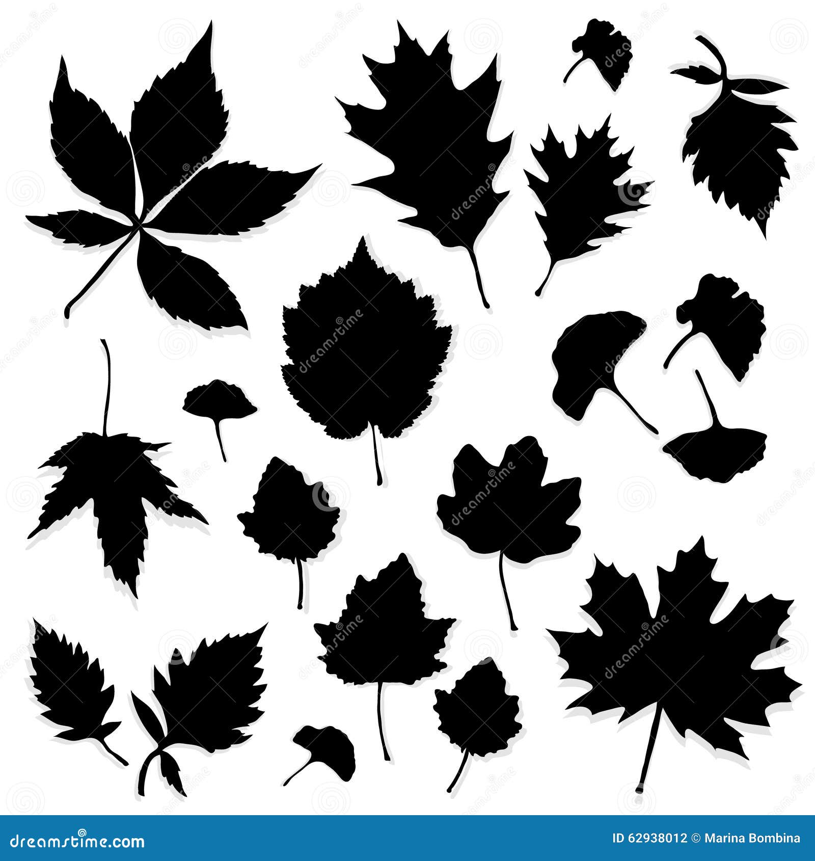 Leaves silhouette stock vector. Illustration of organic - 62938012