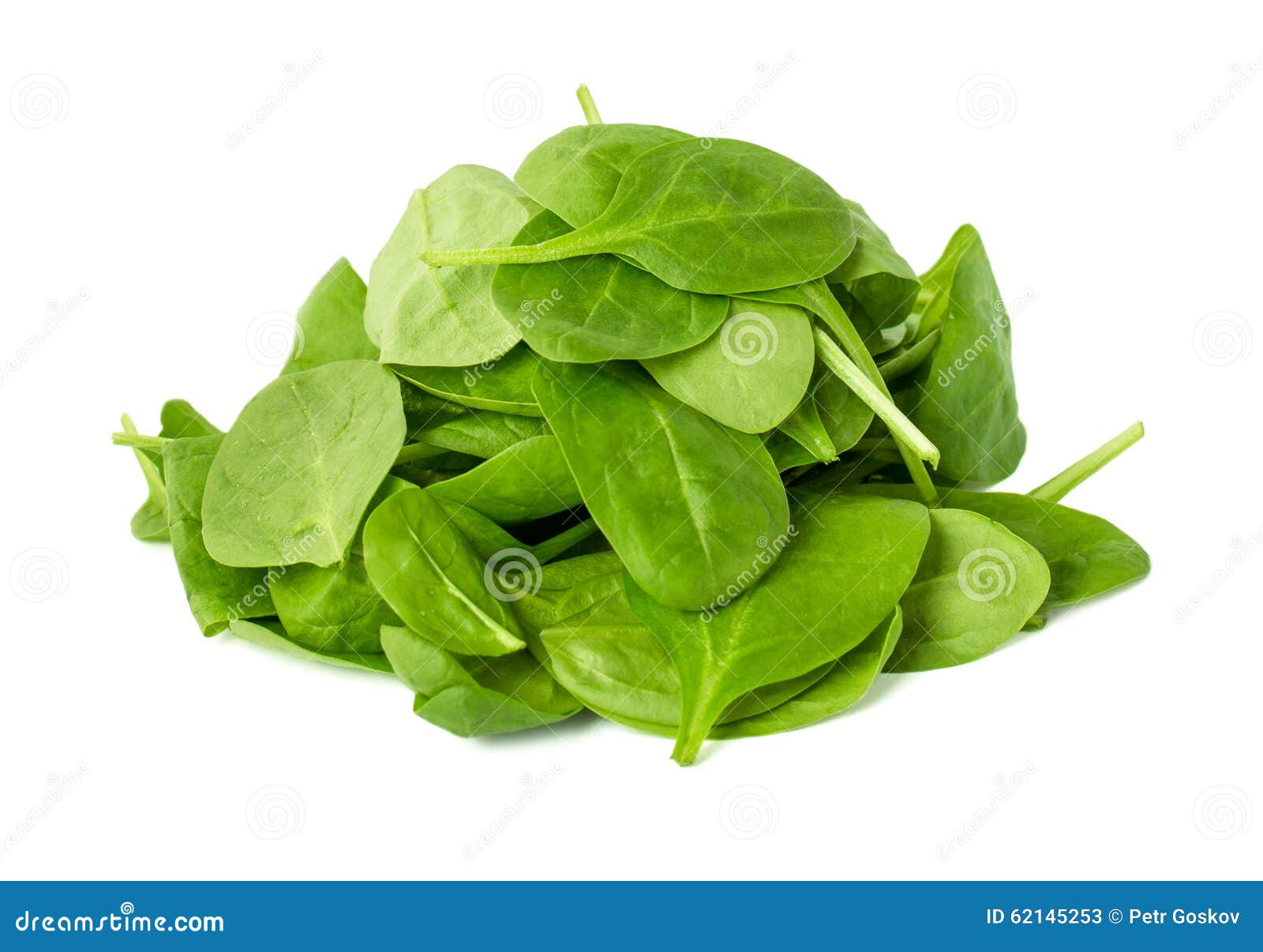 Leaves of Spinach Isolated on White Background Stock Image Image of