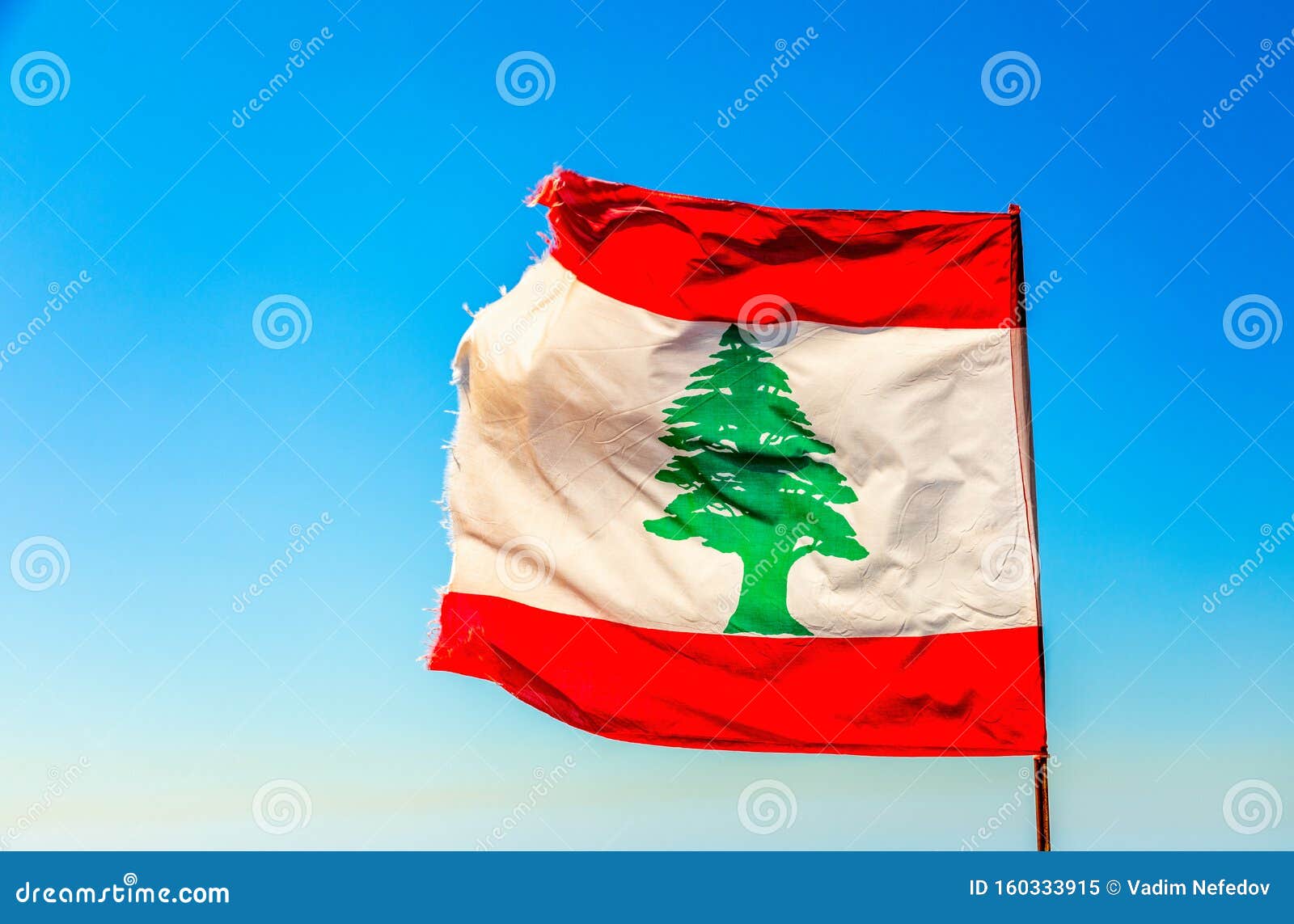 Lebanese Red and White with Green Cedar Tree Flag Waving on the Wind with Blue Sky, Lebanon Stock Image - Image of official, green: