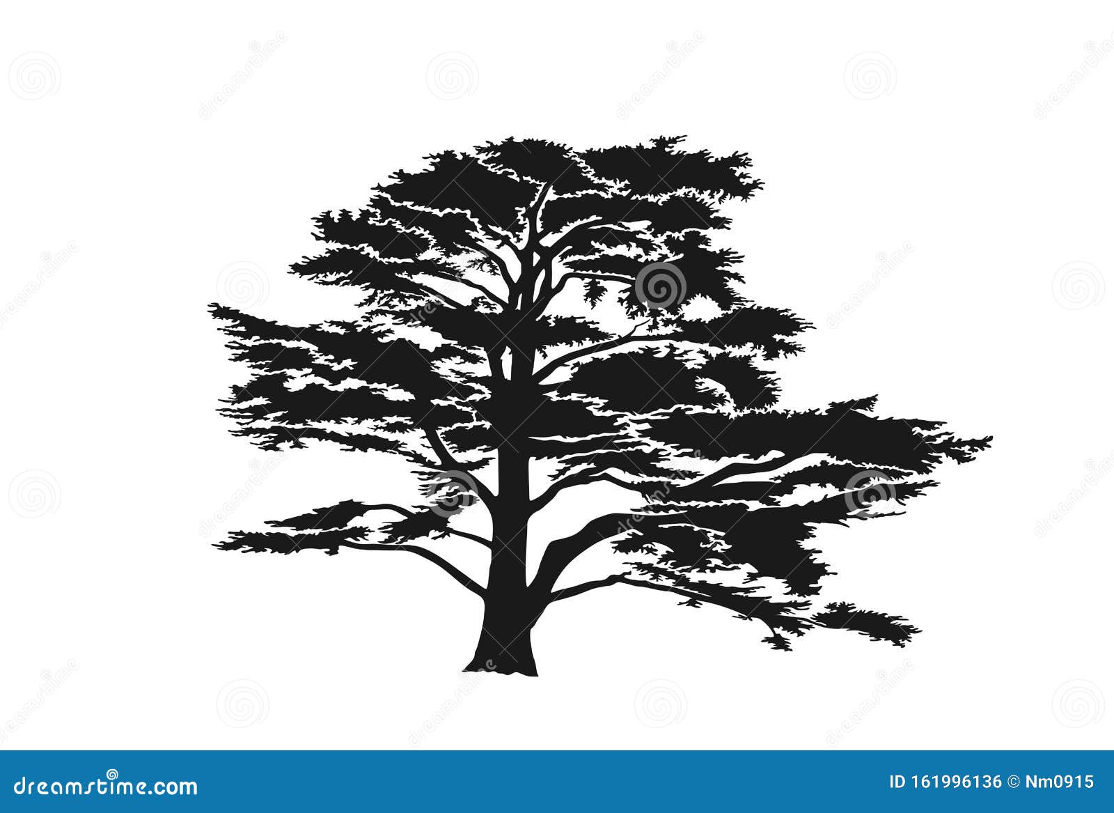 cedar-of-lebanon-tree-stock-image-cartoondealer-123505747