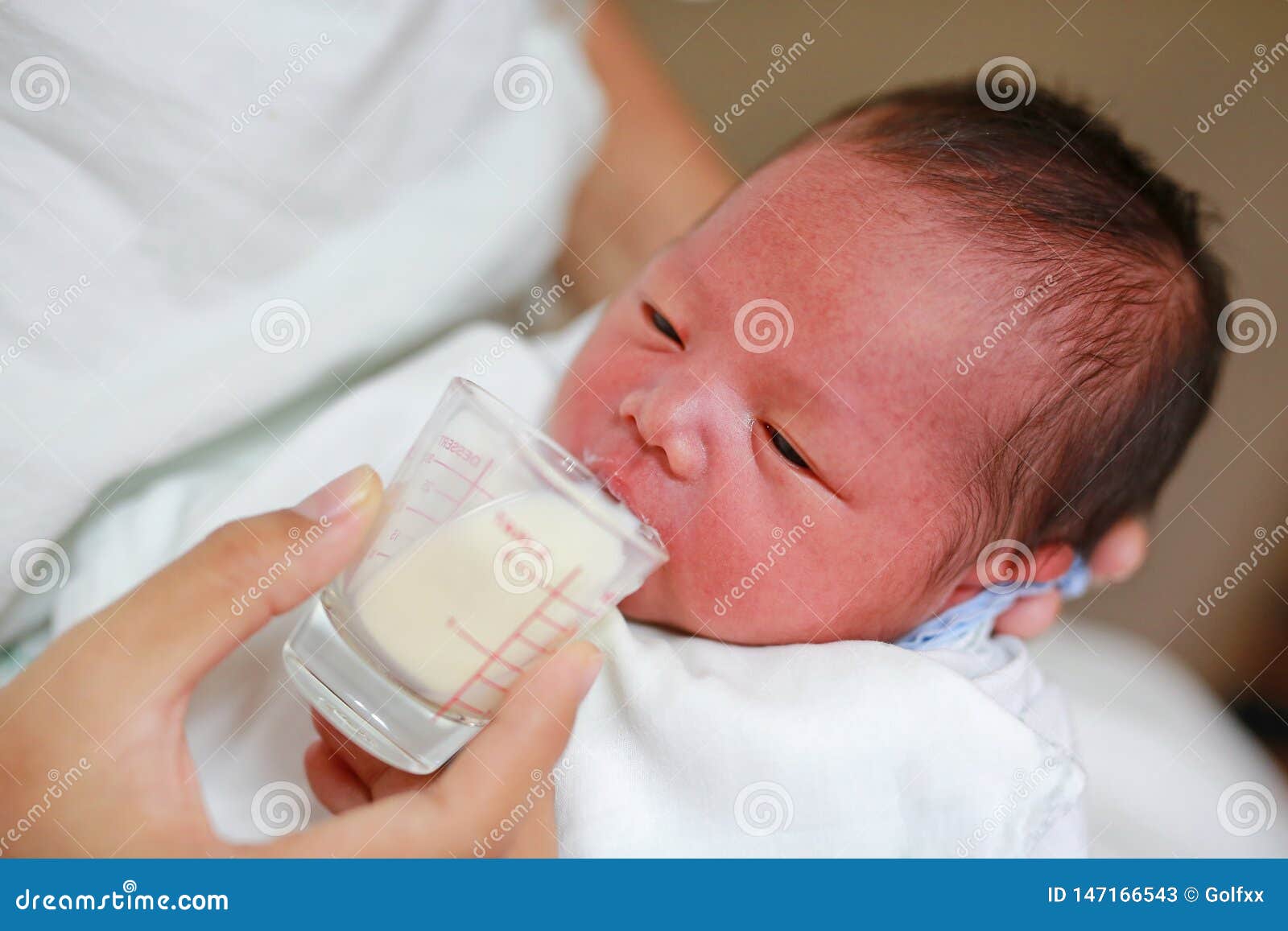 De Alimentación De La Madre Bebé Infantil Por La Taza De Cristal Imagen de archivo - Imagen de travieso, adorable: 147166543