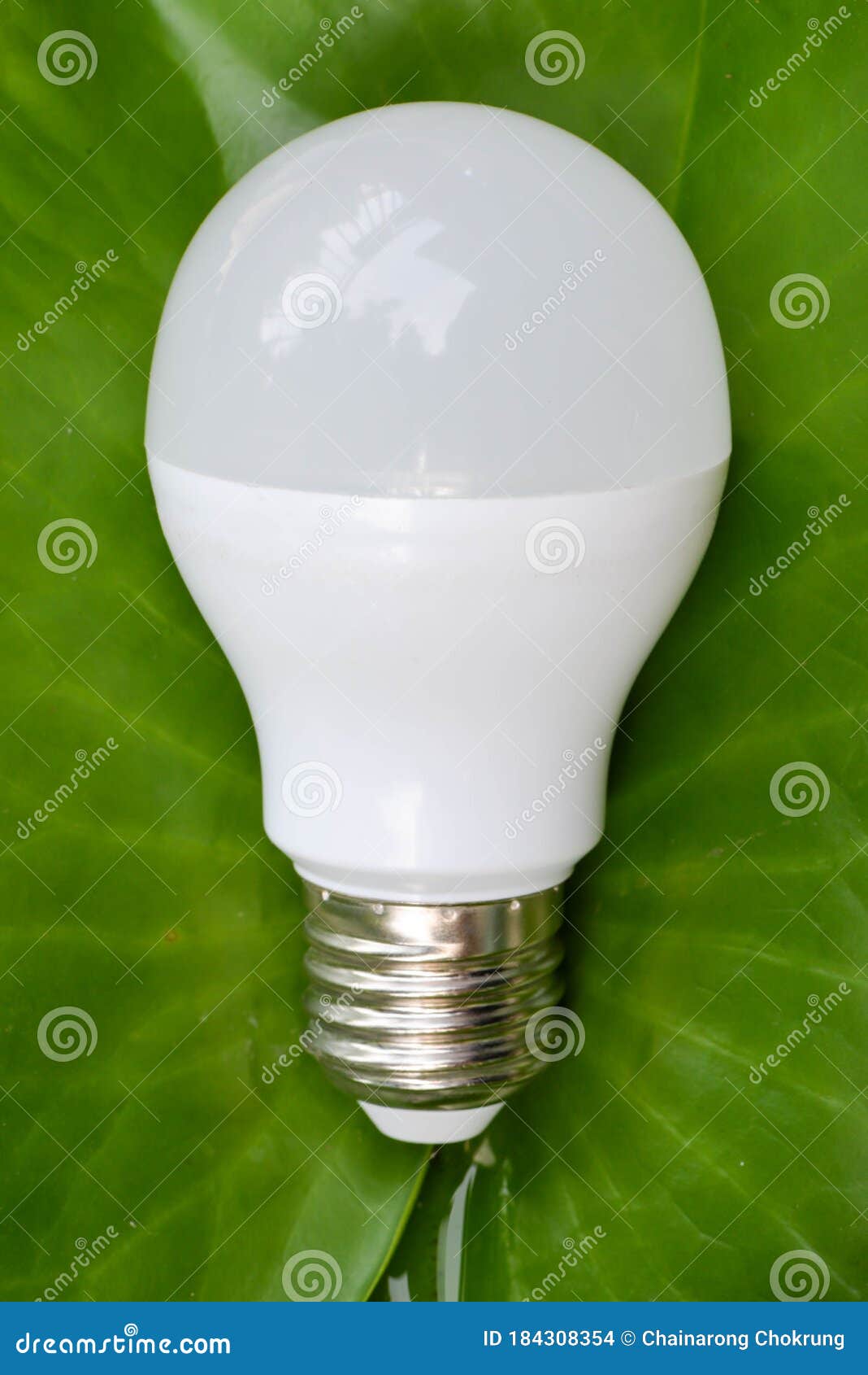 LED Bulb on the Green Leaf for Concept of Eco Friendly Technology Stock
