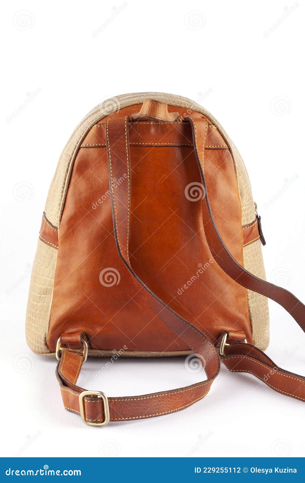 Giotto Dibondon De andere dag schoolbord Lederen Mini-rugzak Voor Vrouwen. Casual Backpack Voor Meisjes. Stock Foto  - Image of rugzakken, universiteit: 229255112