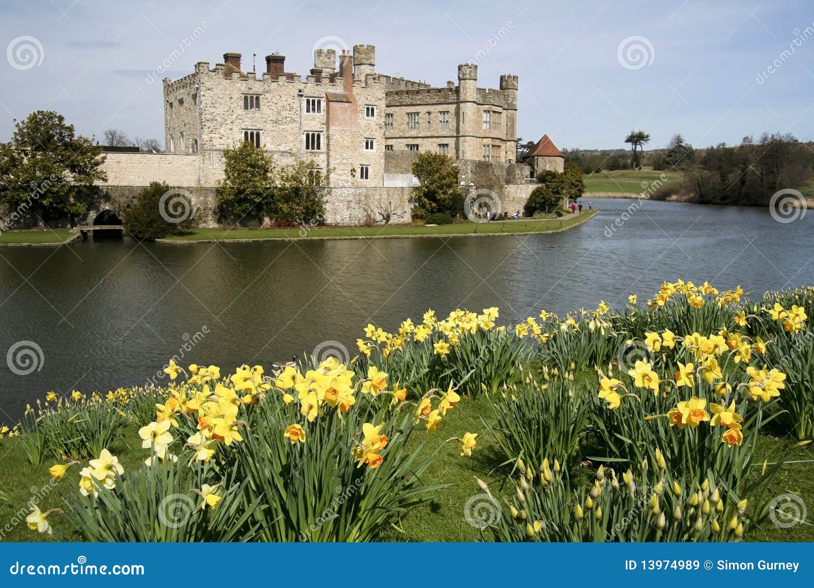 Leeds Castle Gardens Spring Daffodils Kent Uk Stock Image Image of