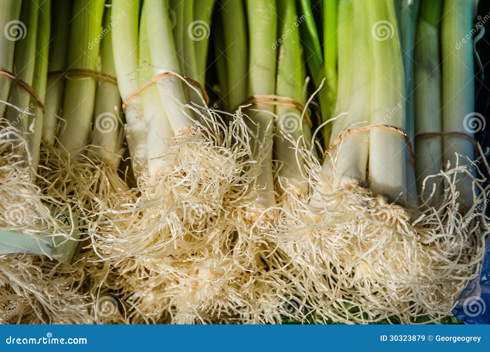 Leek for sale 1 stock image. Image of food, 30323879