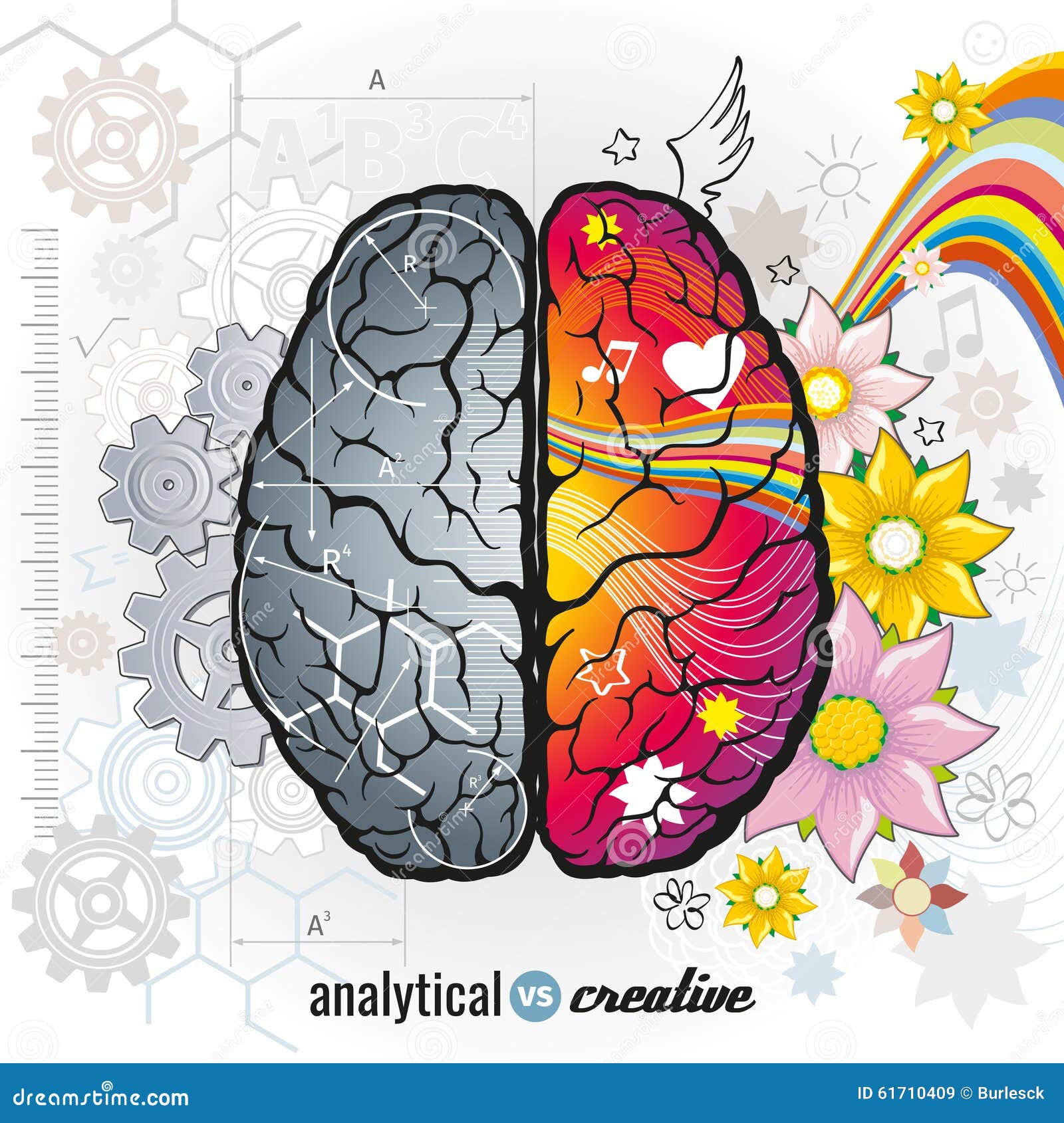 left analytical and right creativity brain
