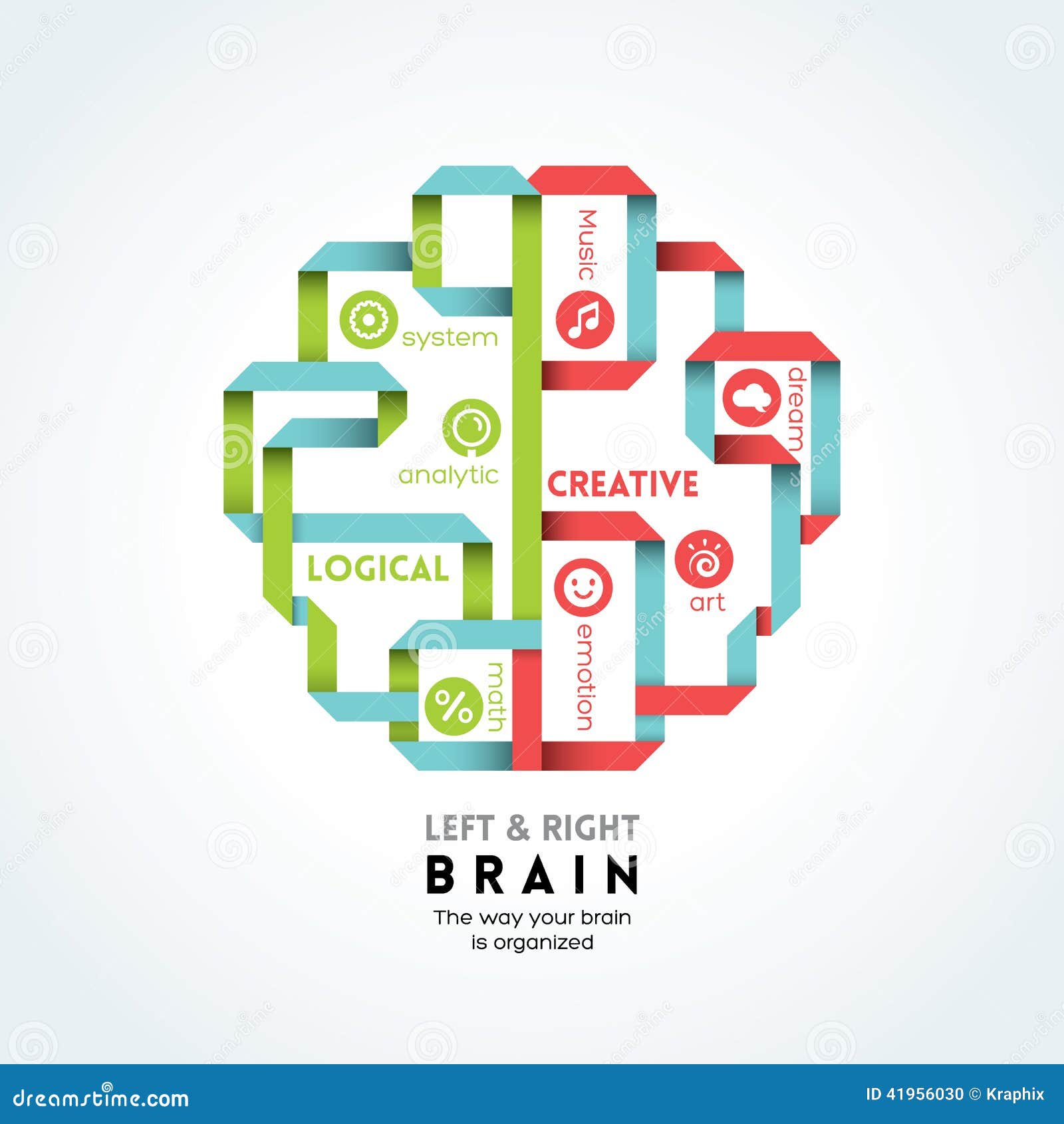 What are the functions of the left and right brain?