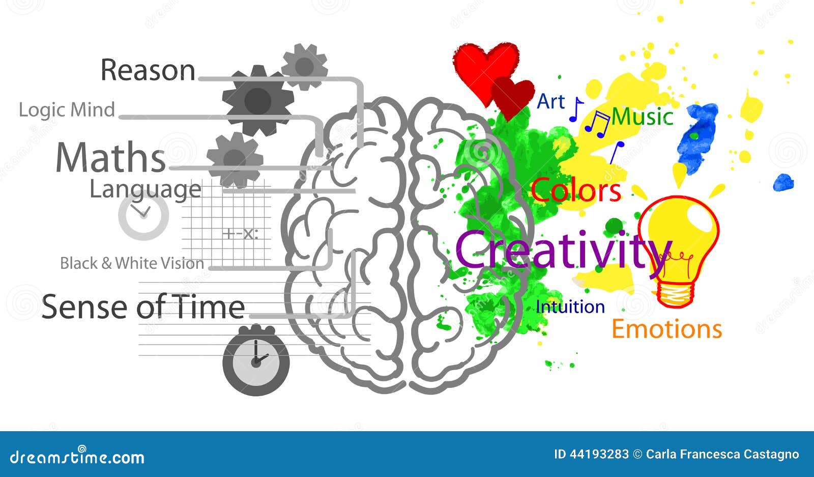 left and right brain