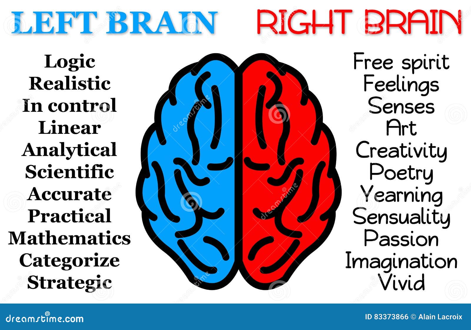 left-right-brain-supposed-difference-83373866.jpg