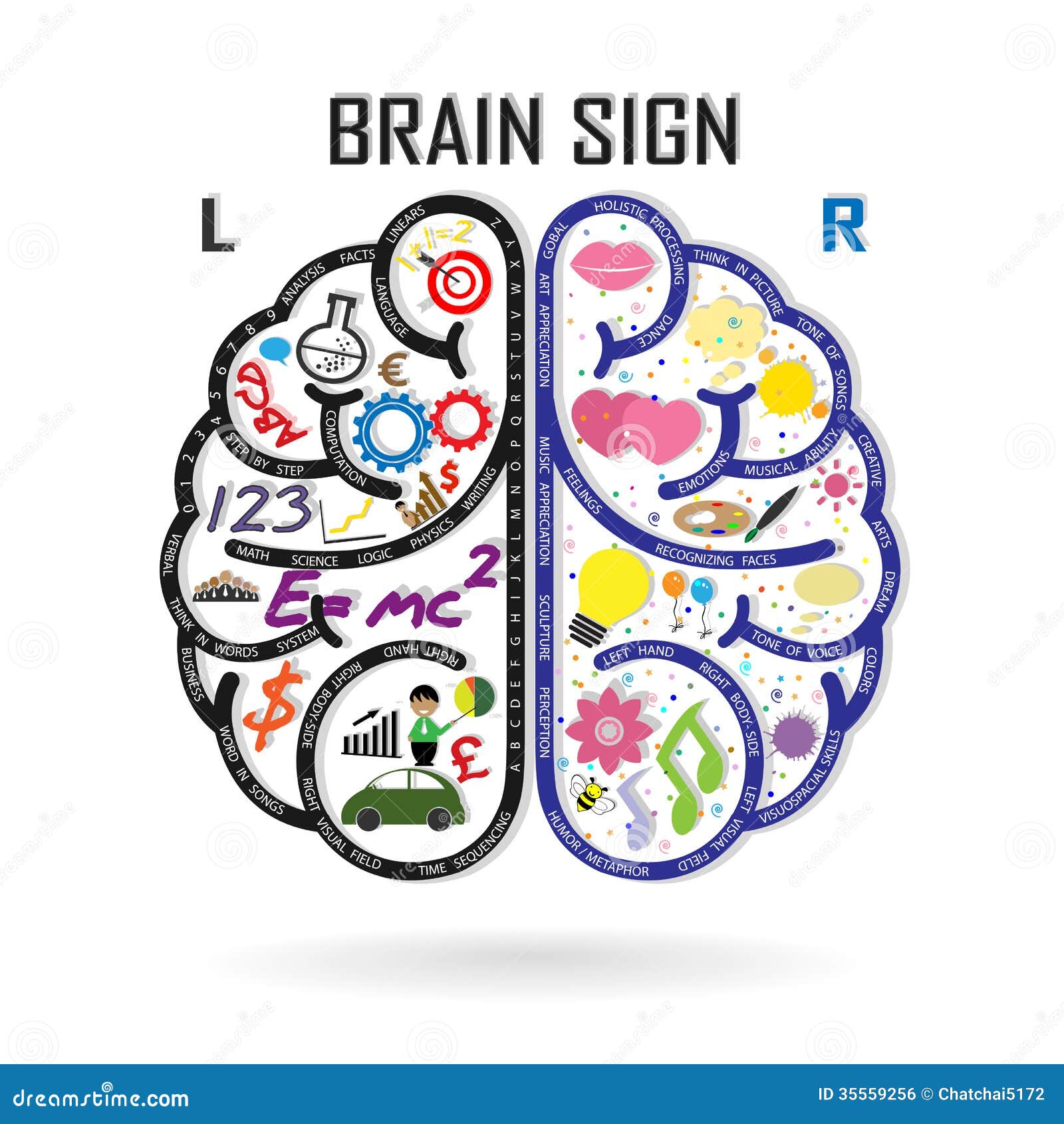 left and right brain ,creativity sign,busine