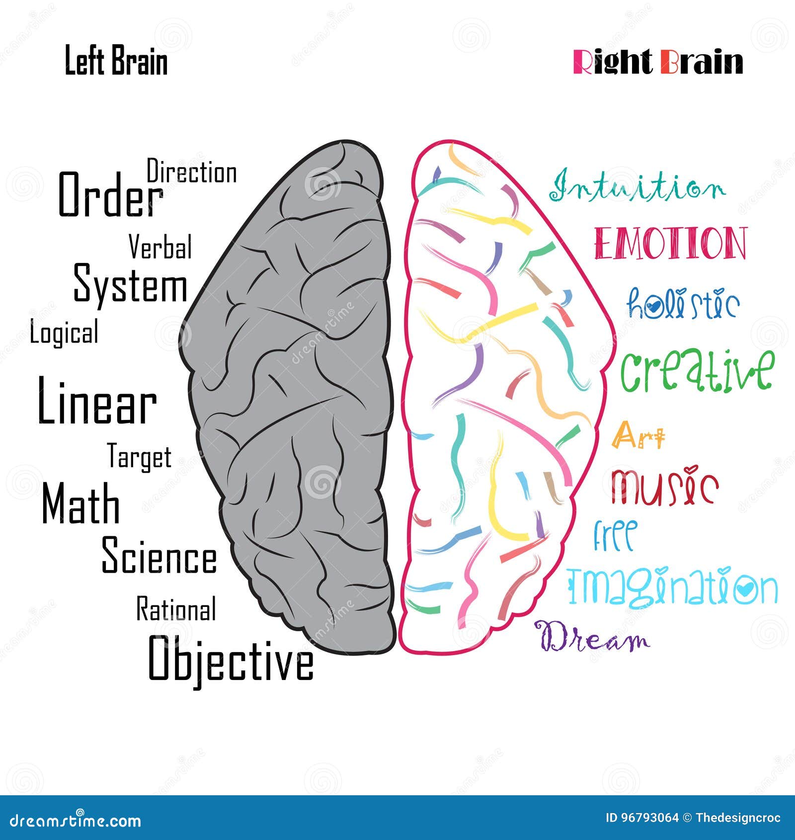left right human brain functions