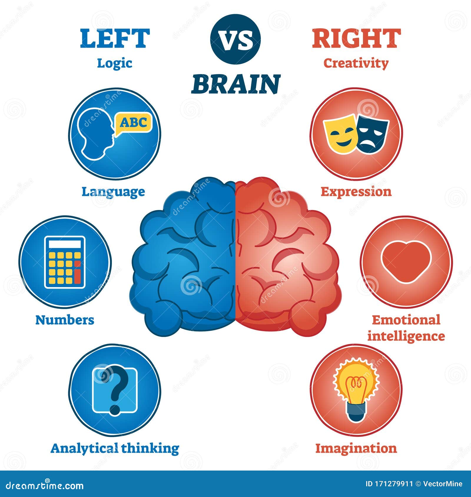 left versus right brain traits diagram