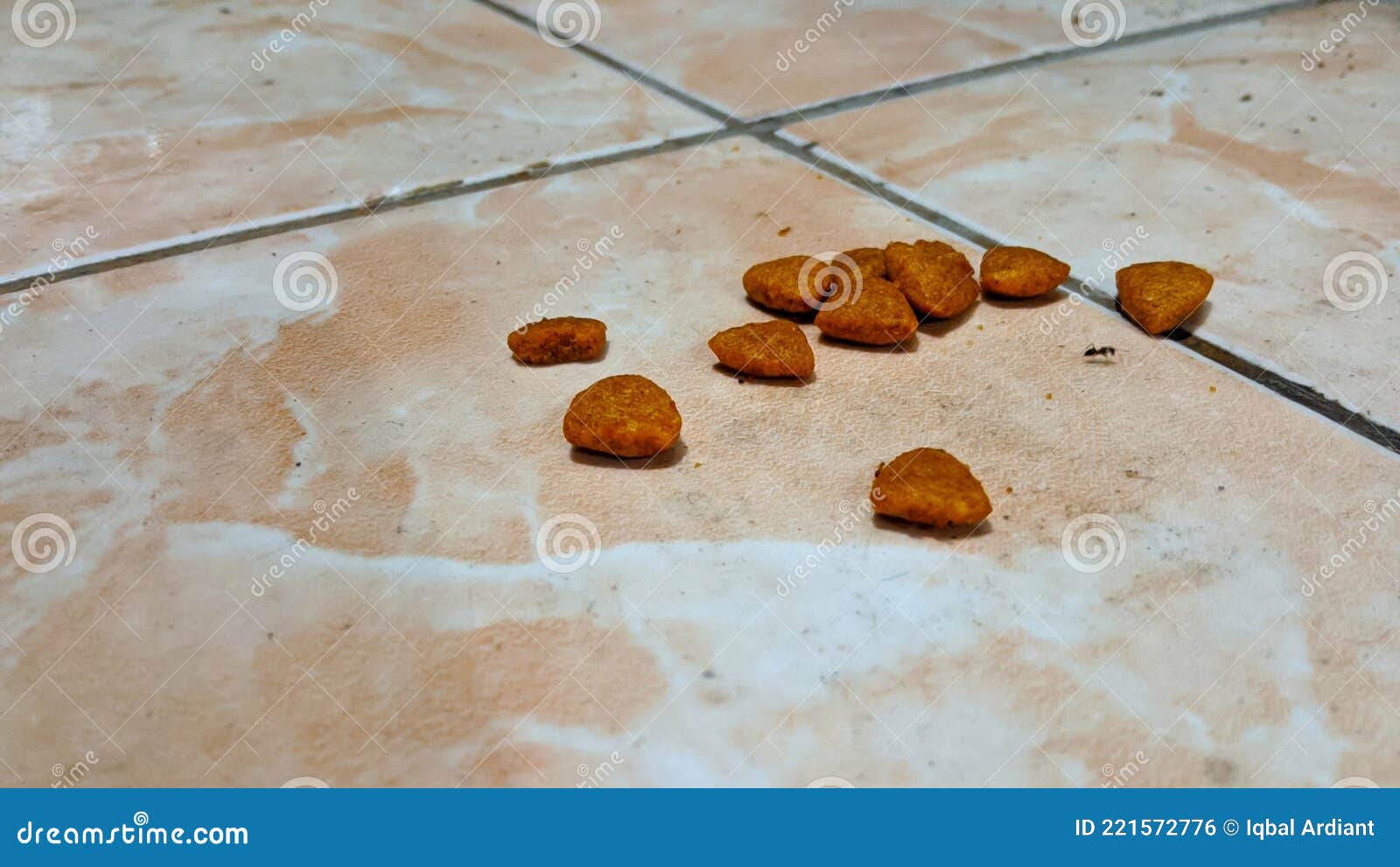 Leftover Cat Food that Doesn& X27;t Run Out on the Floor. Stock Photo