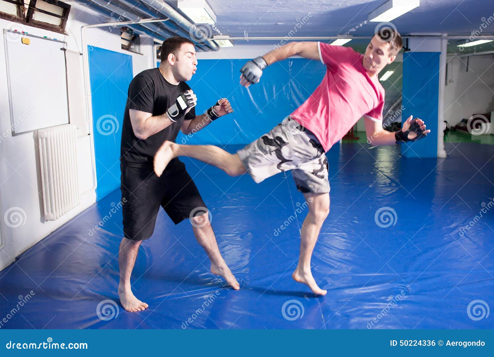 Leg Kick in the Belly during Martial Art Training Stock Photo Image