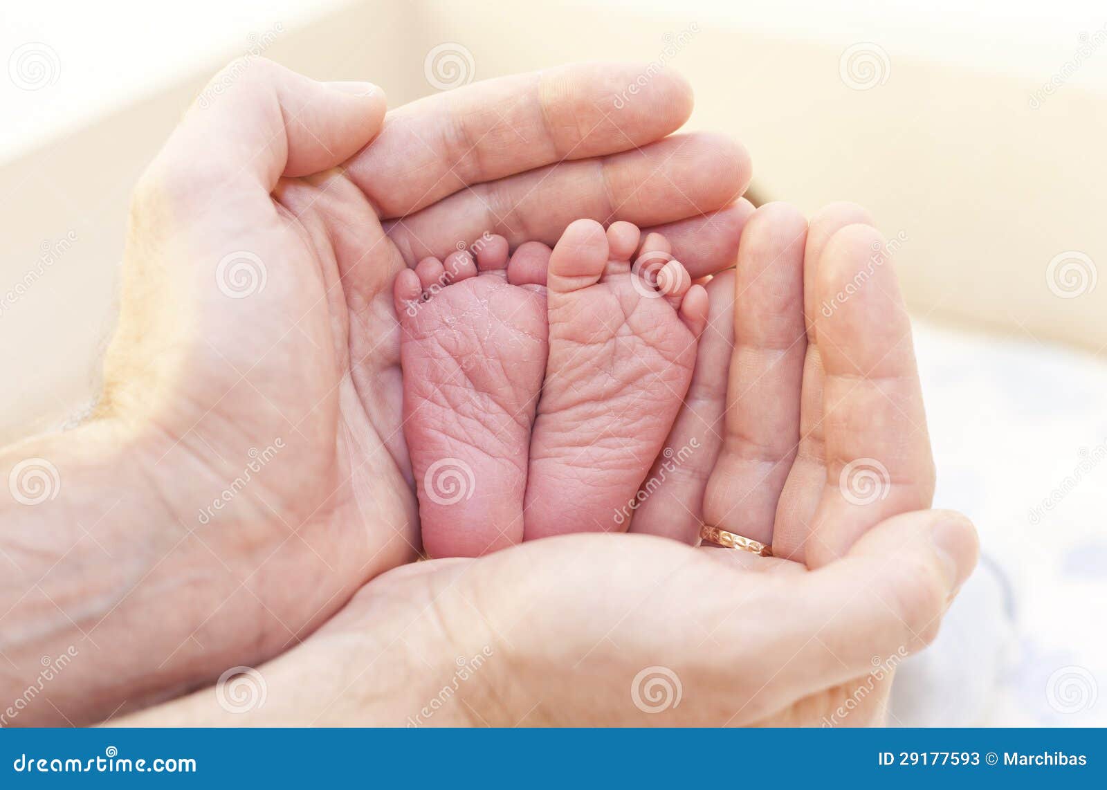 Leg of the Newborn Child in Stock Image Image of careful, human 29177593