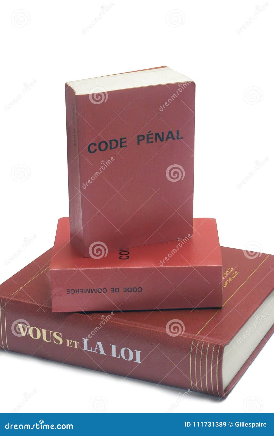 legal books and the french penal code