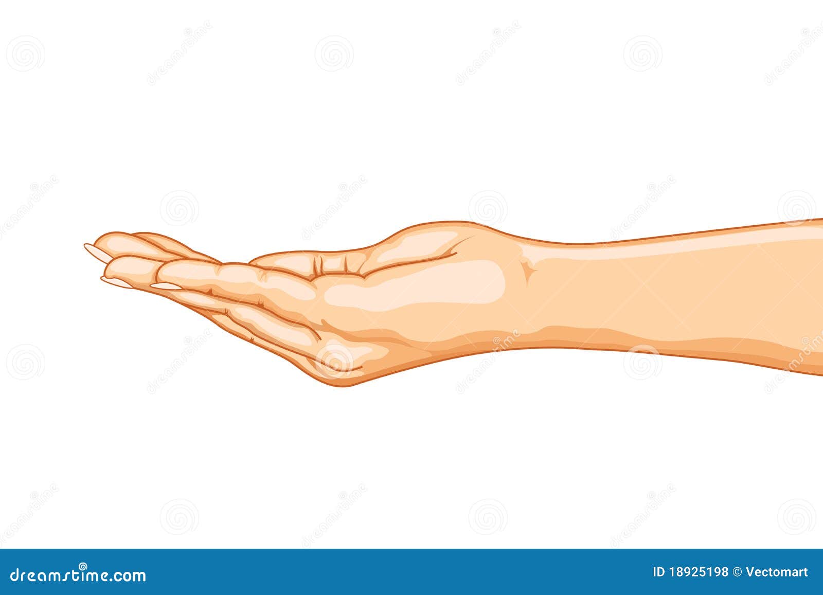 Lege Hand vector illustratie. Illustration of samenvatting 18925198