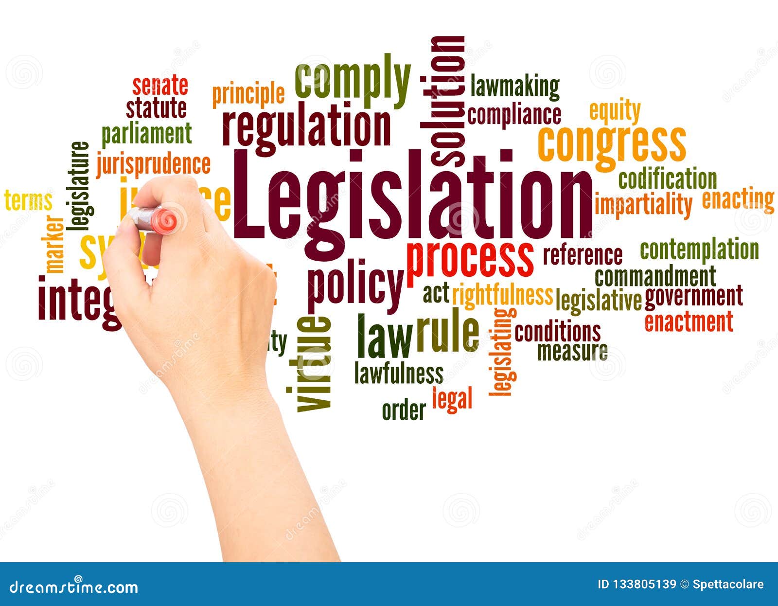 Legislative Process Outline Diagram Explanation Scheme, Vector