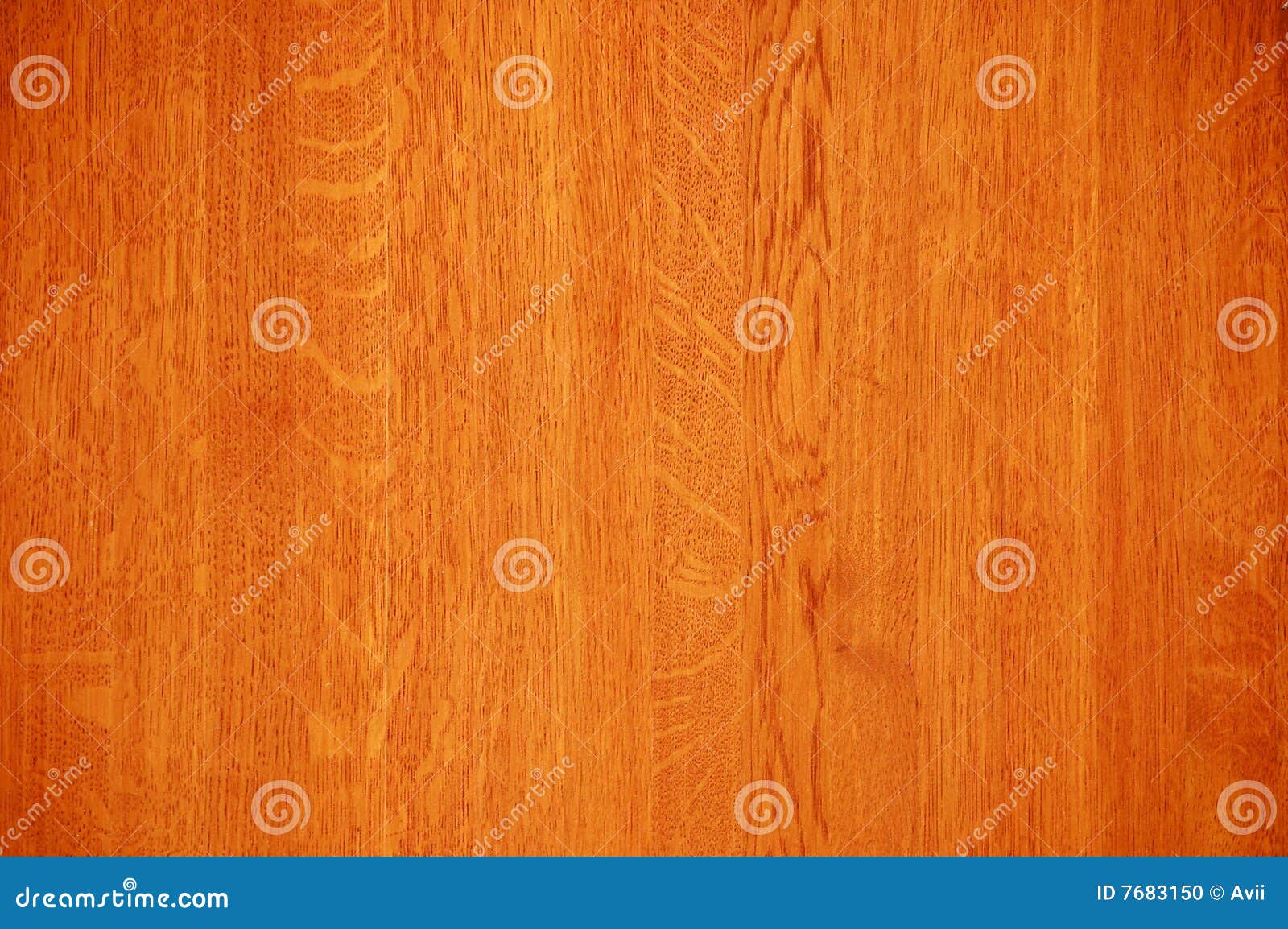 Swietenia Mahogani, Mahogany Timber Big Tree Bonsai Rare Hard Wood - Foto 13