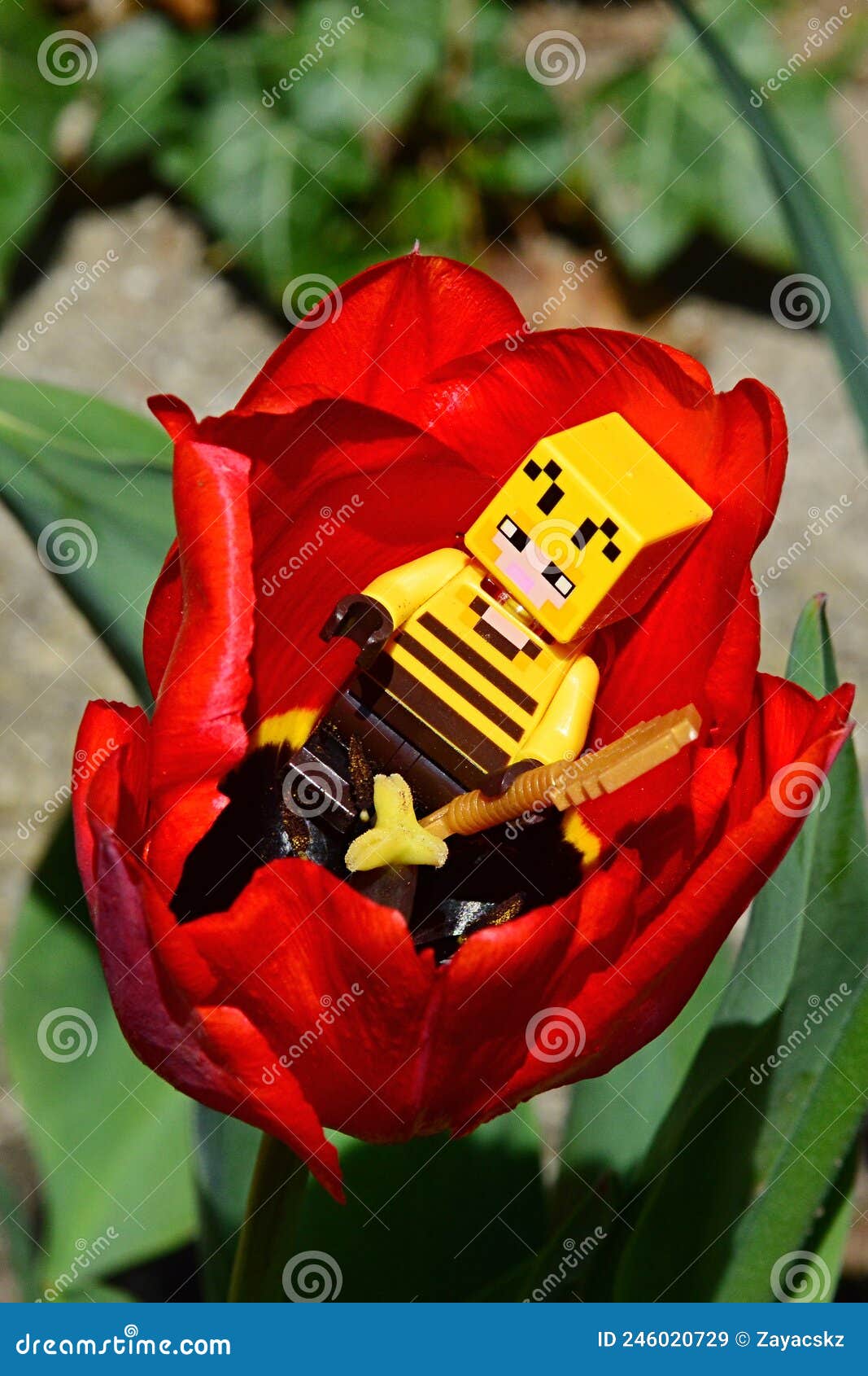 Lego Minecraft Figura Di Apicoltore Con Pala Dorata in Un Fiore Di Tulipano  Rosso Immagine Stock Editoriale - Immagine di luminoso, bello: 246020729
