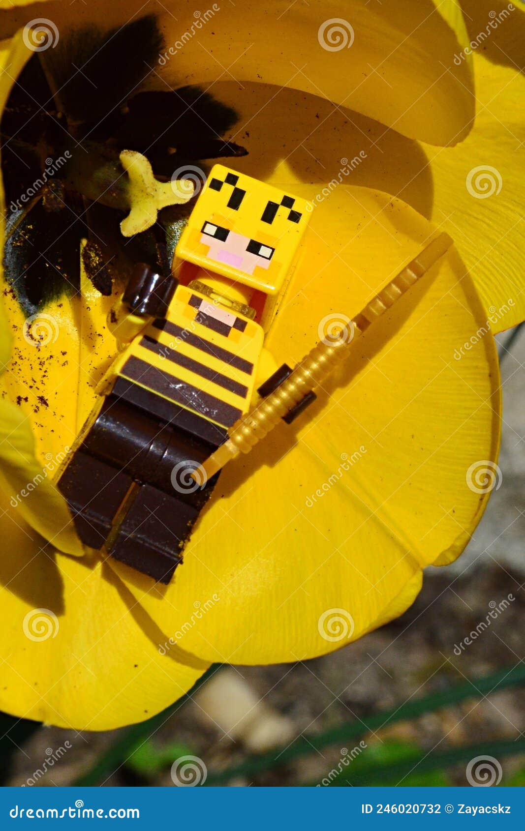 Lego Minecraft Figura Di Apicoltore Giacente in Calice Di Fiore Giallo Di  Tulipano Con Pala Dorata a Sinistra Fotografia Editoriale - Immagine di  dorato, resto: 246020732