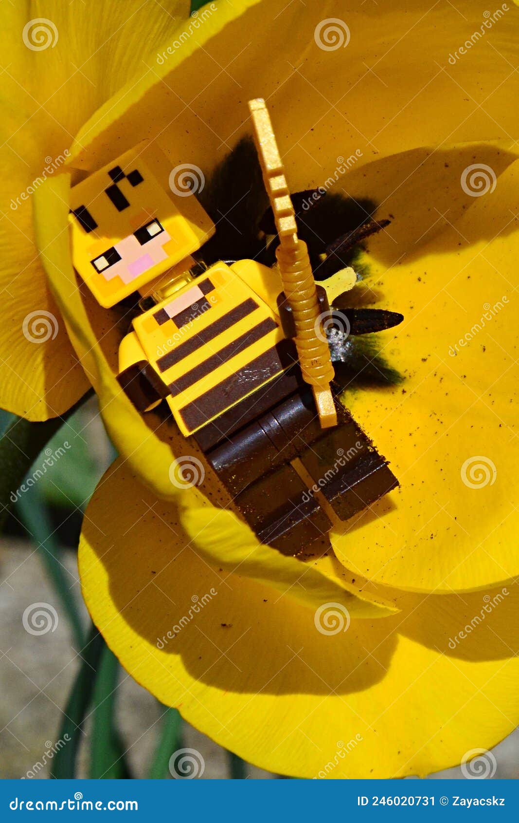 LEGO Minecraft Figure of Beekeeper Standing in Chalice of Yellow Tulip  Flower with Golden Shovel in Left Hand Editorial Photo - Image of blooming,  beekeeper: 246020731