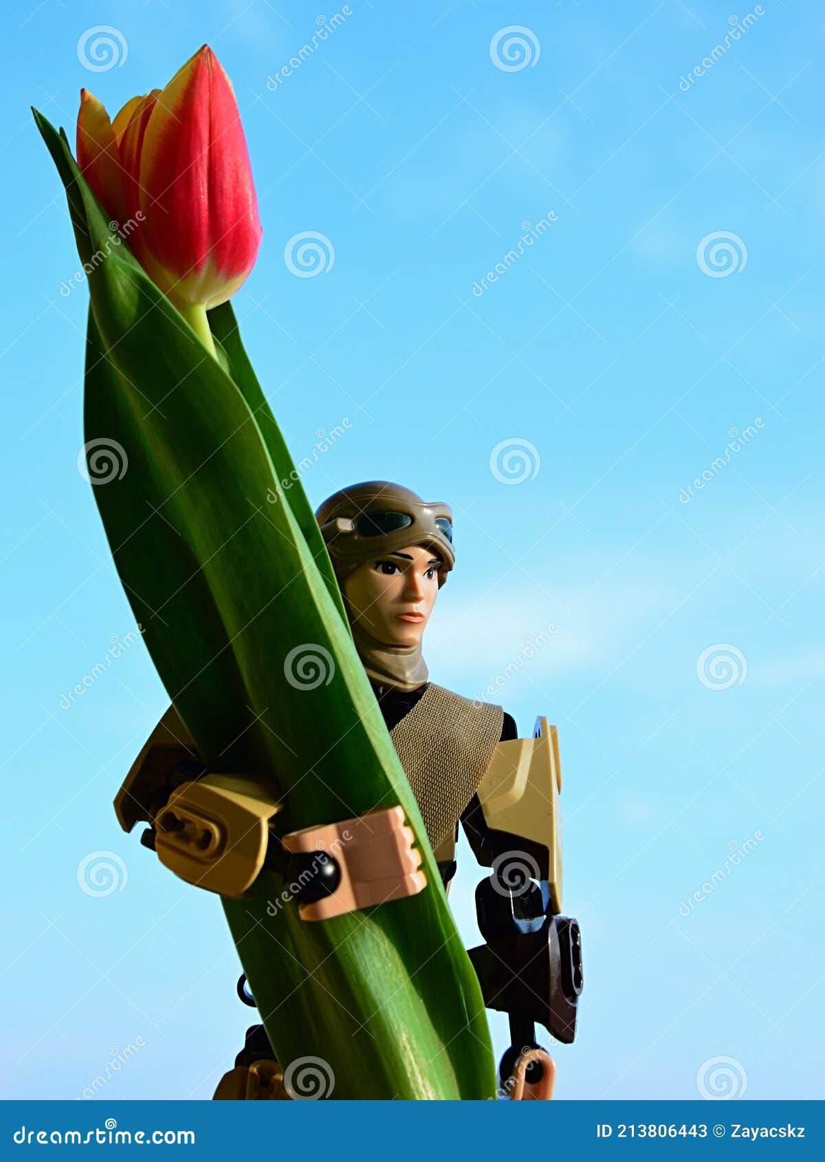 LEGO Star Wars Large Action Figure of Rey Skywalker in Desert Scavenger  Outfit, Holding Real Tulip Flower Editorial Stock Photo - Image of outfit,  holding: 213806443